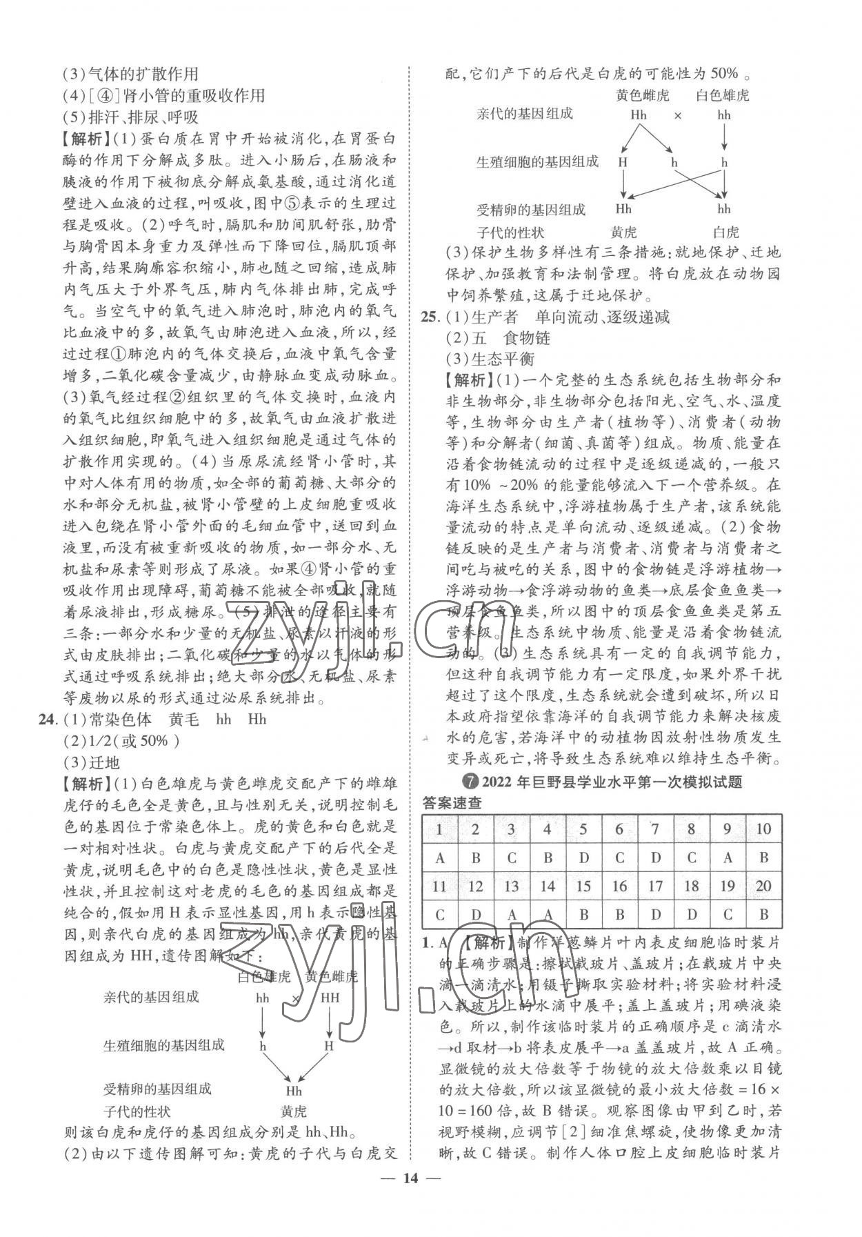 2023年3年真題2年模擬1年預(yù)測生物菏澤專版 參考答案第14頁