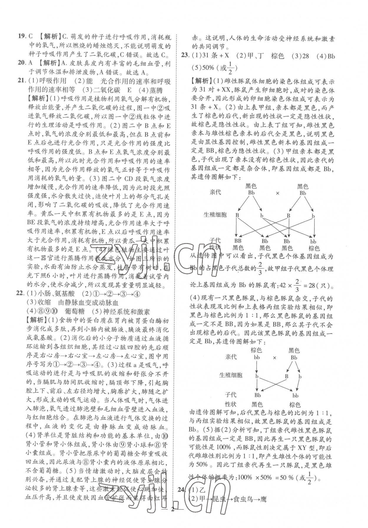 2023年3年真题2年模拟1年预测生物菏泽专版 参考答案第2页