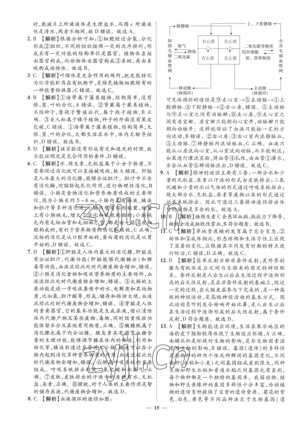 2023年3年真題2年模擬1年預測生物菏澤專版 參考答案第15頁