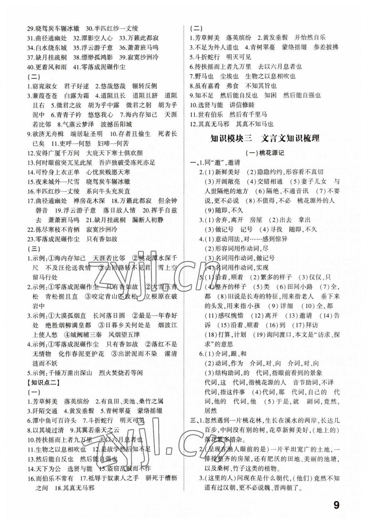 2023年中考备战语文菏泽专版 参考答案第8页