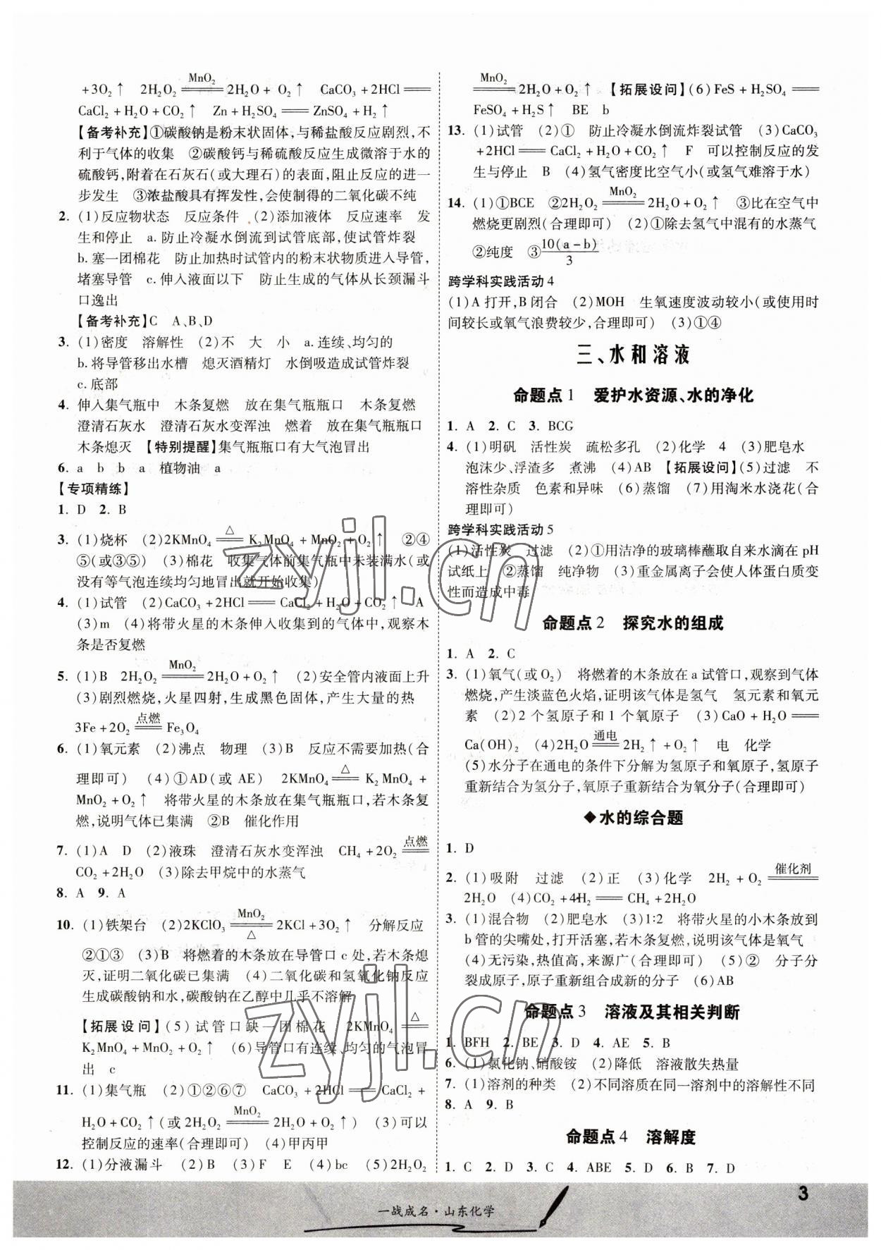 2023年一戰(zhàn)成名中考備考新思路化學(xué)山東專版 第3頁