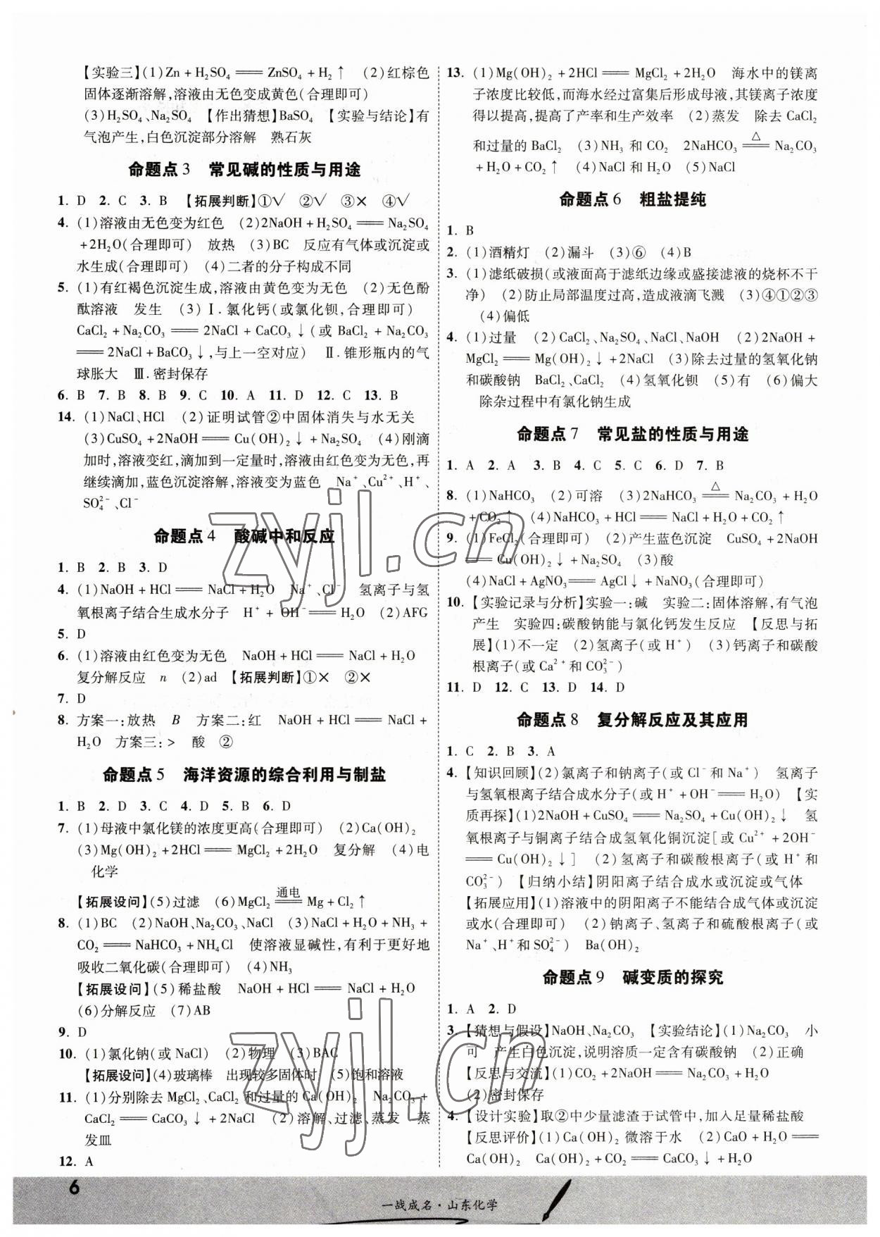 2023年一戰(zhàn)成名中考備考新思路化學(xué)山東專(zhuān)版 第6頁(yè)