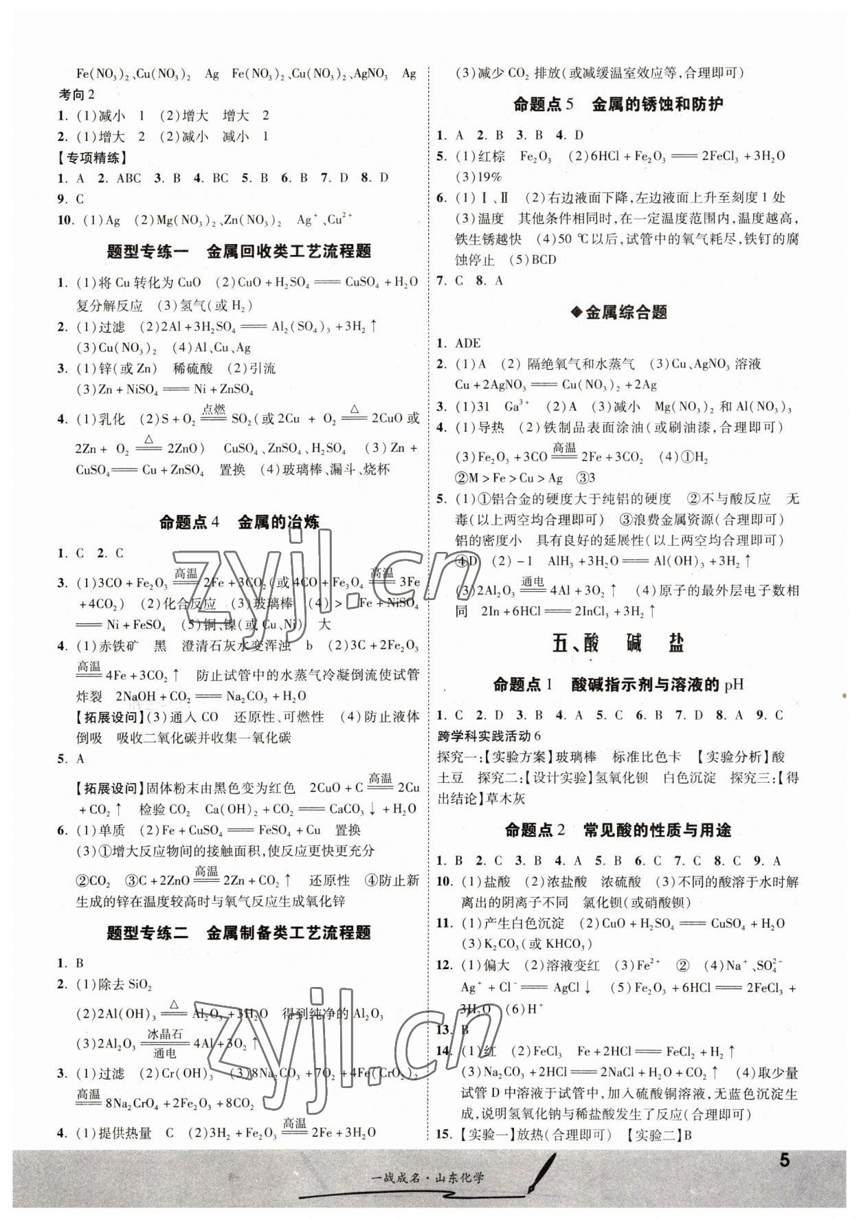 2023年一戰(zhàn)成名中考備考新思路化學(xué)山東專版 第5頁