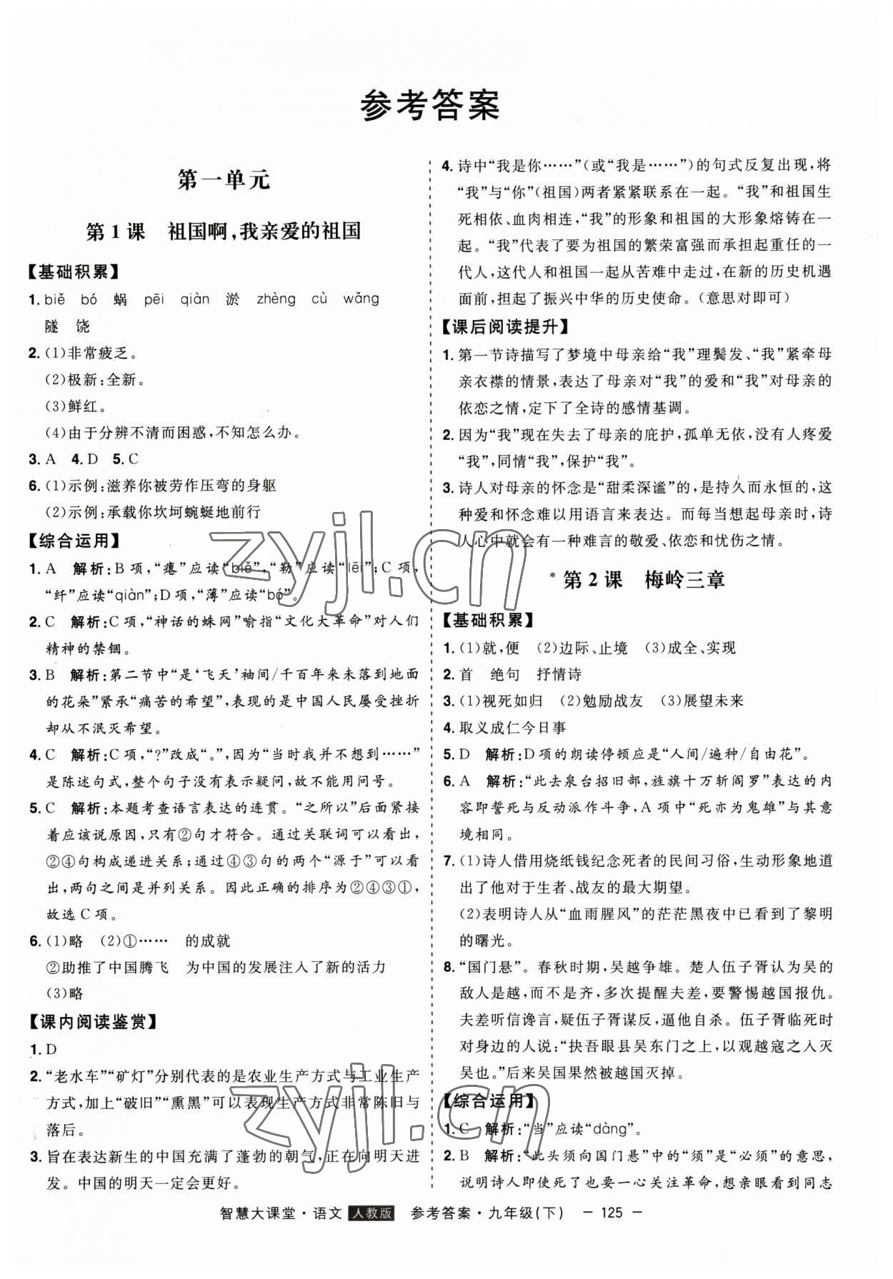 2023年初中新課標(biāo)名師學(xué)案智慧大課堂九年級語文下冊人教版 第1頁