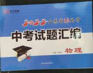 2023年正大圖書中考試題匯編物理山東專版