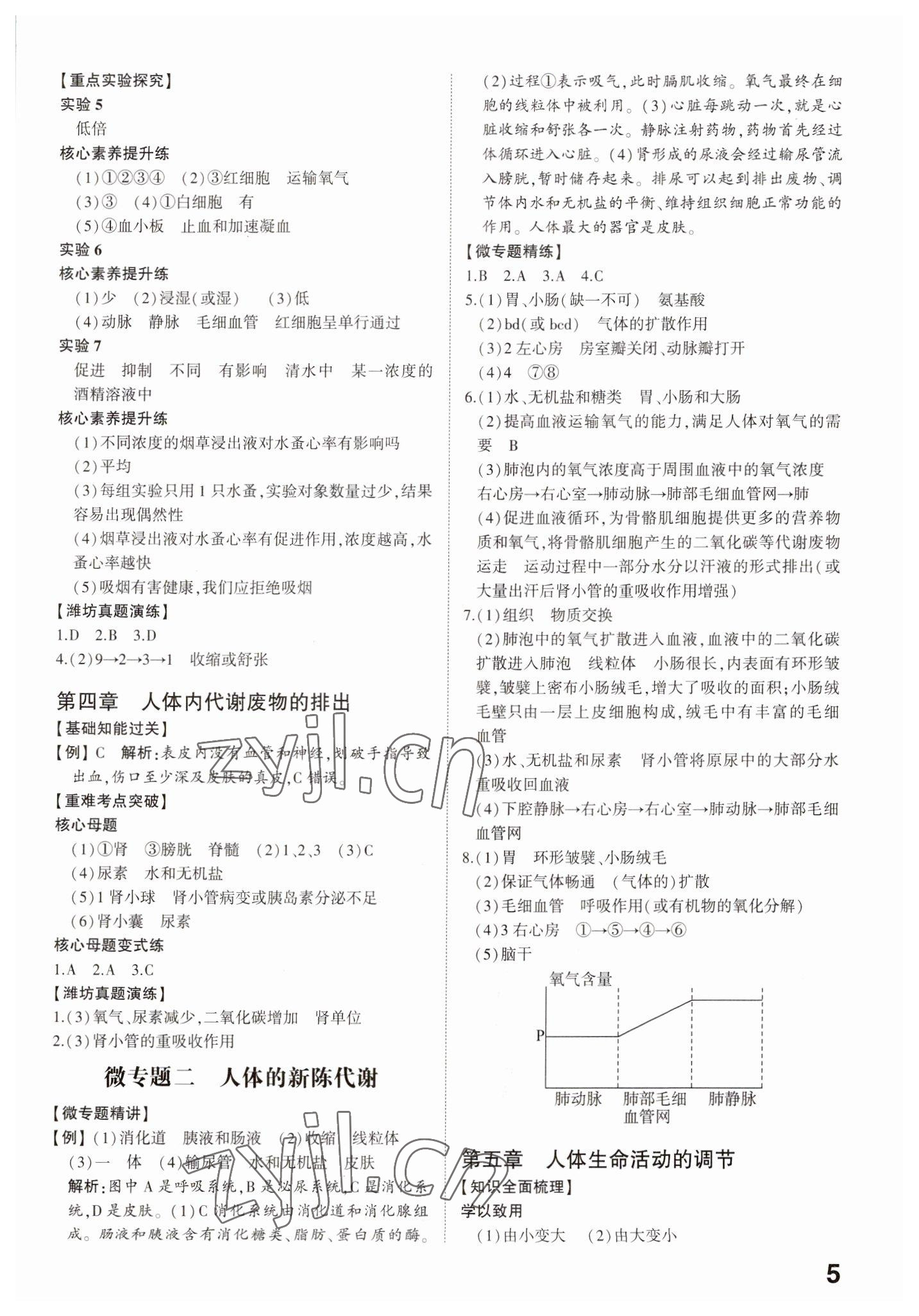 2023年中考备战生物潍坊专版 参考答案第4页