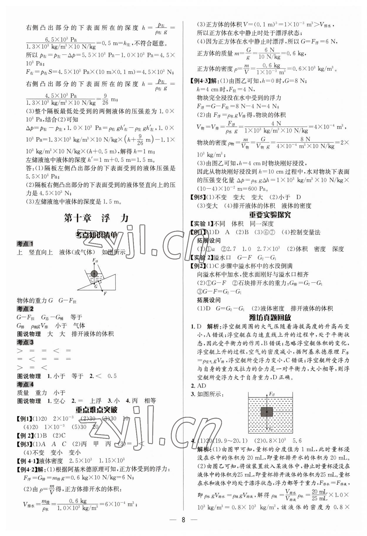 2023年中考對(duì)策物理濰坊專版 參考答案第8頁(yè)