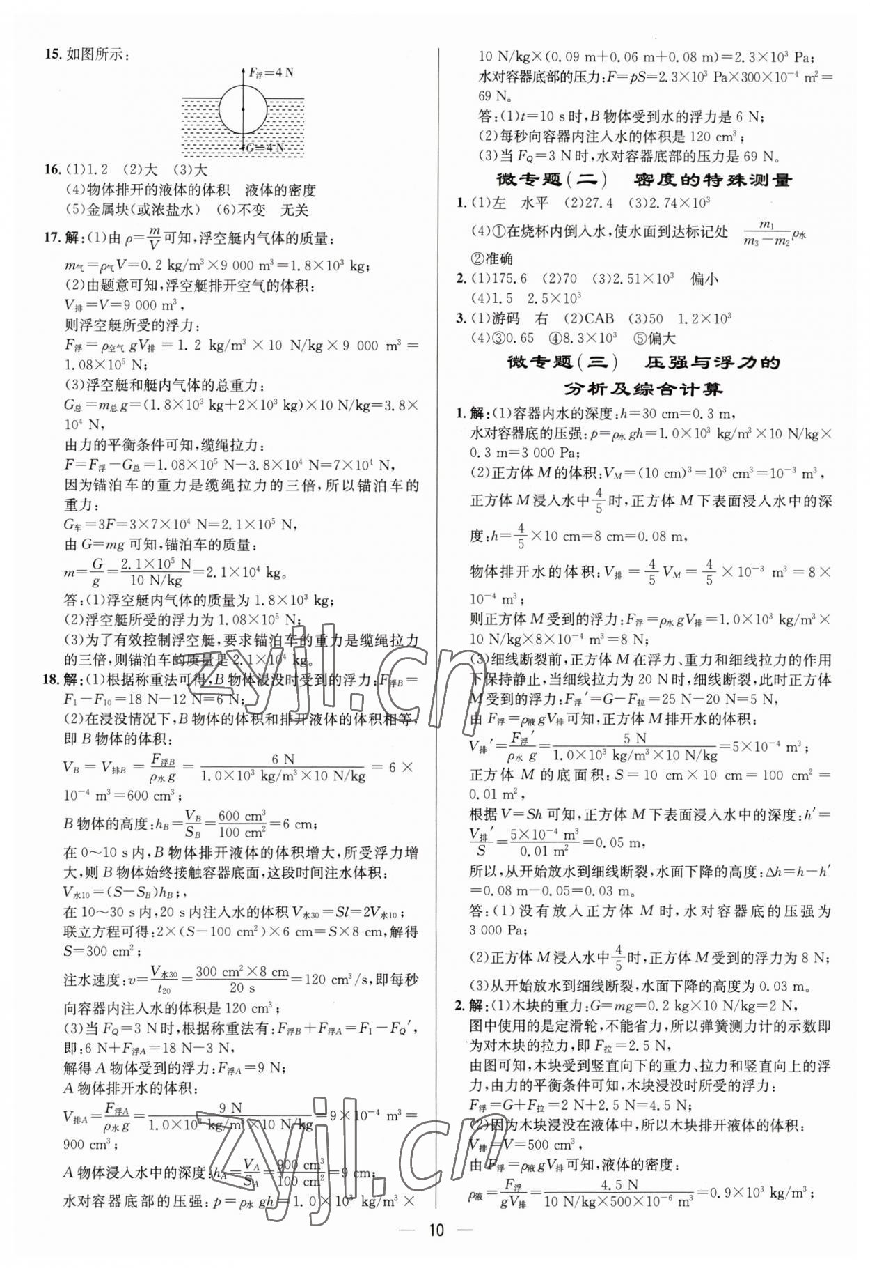 2023年中考對策物理濰坊專版 參考答案第10頁