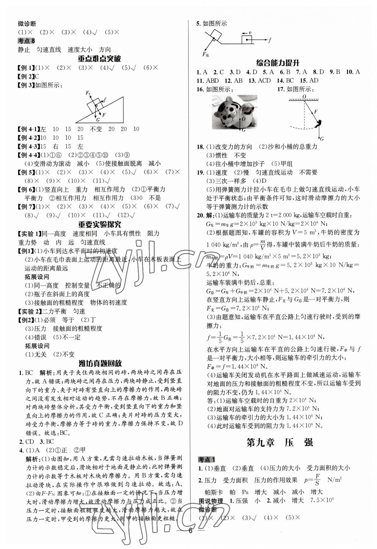 2023年中考對策物理濰坊專版 參考答案第6頁