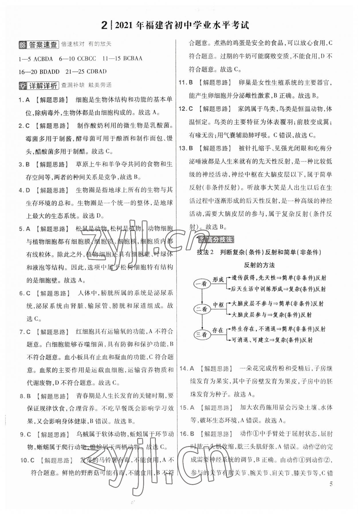 2023年金考卷福建中考45套匯編生物 第5頁