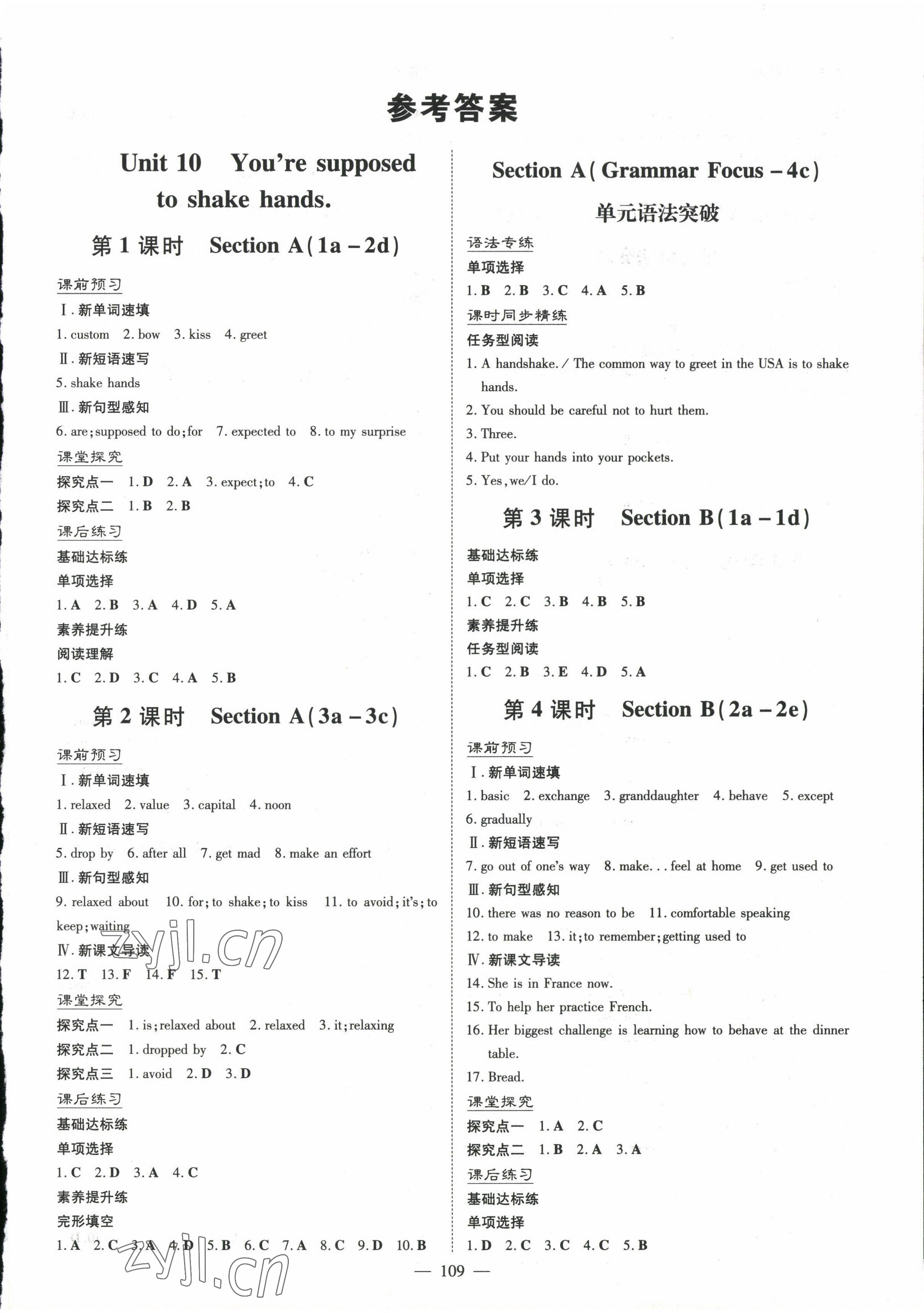 2023年初中同步學(xué)習(xí)導(dǎo)與練導(dǎo)學(xué)探究案九年級英語下冊人教版 參考答案第1頁