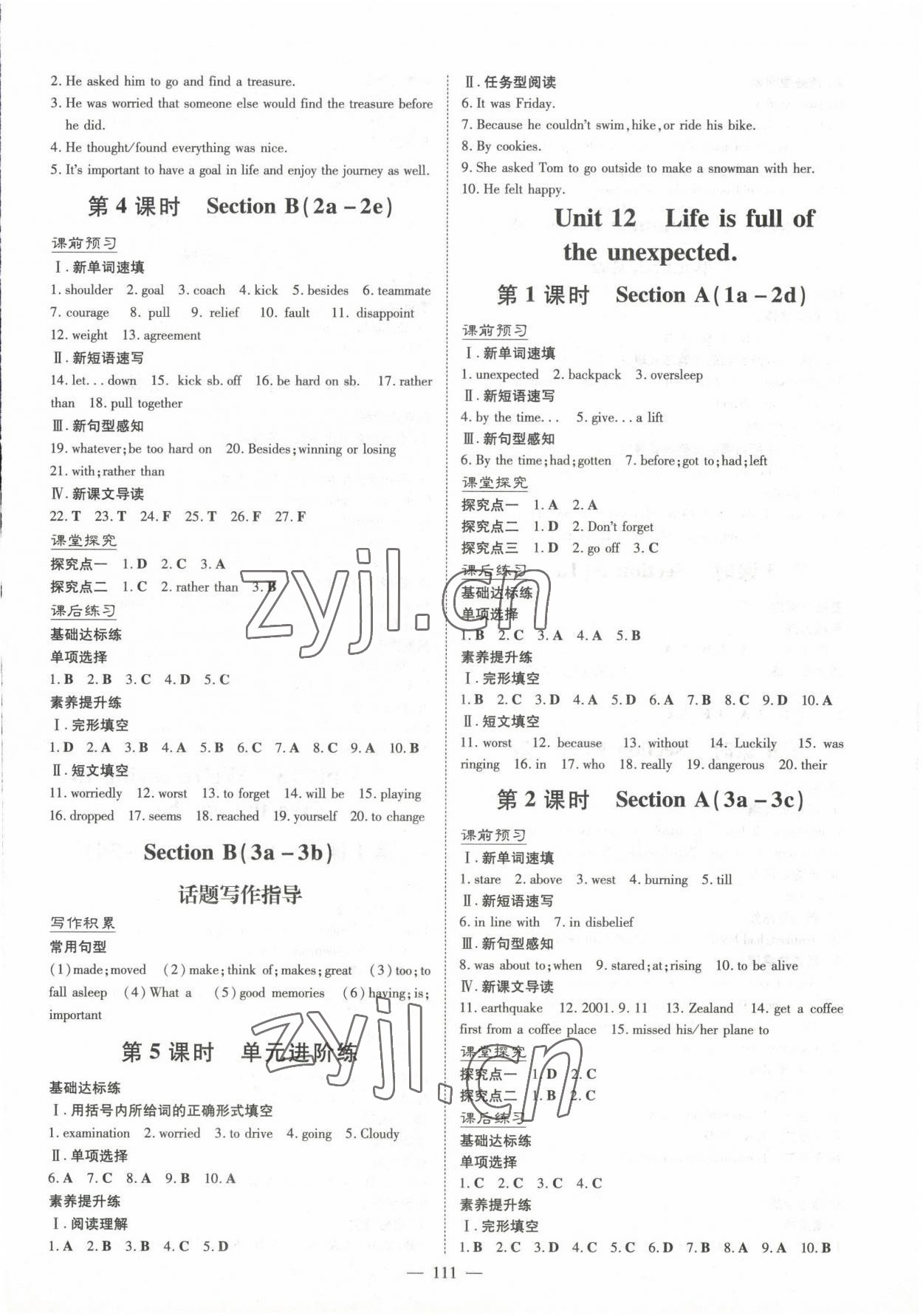 2023年初中同步學(xué)習(xí)導(dǎo)與練導(dǎo)學(xué)探究案九年級(jí)英語(yǔ)下冊(cè)人教版 參考答案第3頁(yè)