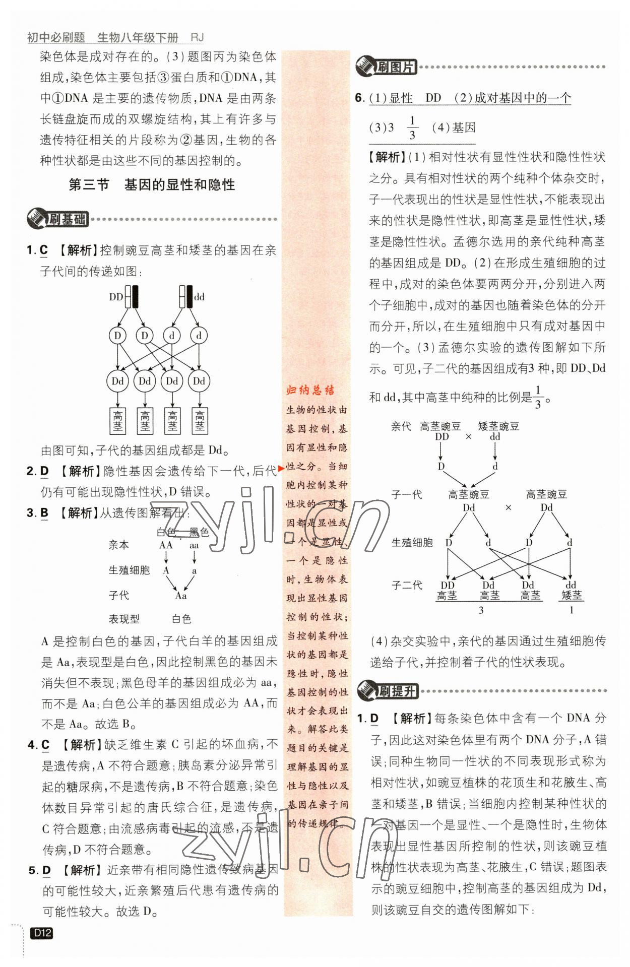 2023年初中必刷題八年級(jí)生物下冊(cè)人教版 第12頁(yè)