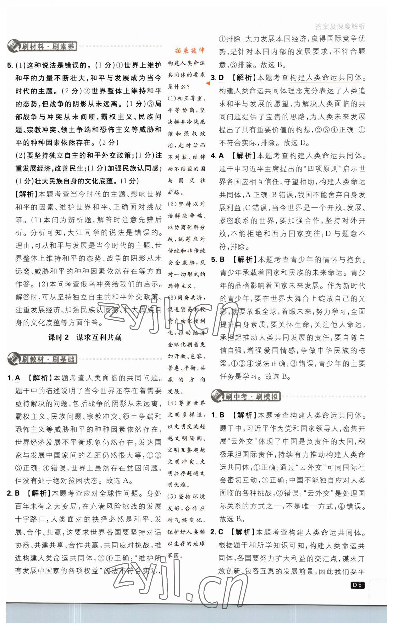 2023年初中必刷題九年級(jí)道德與法治下冊(cè)人教版 第5頁(yè)