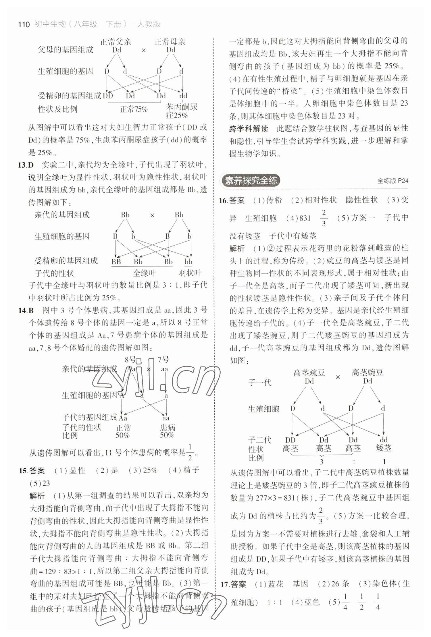 2023年5年中考3年模擬八年級生物下冊人教版 參考答案第8頁