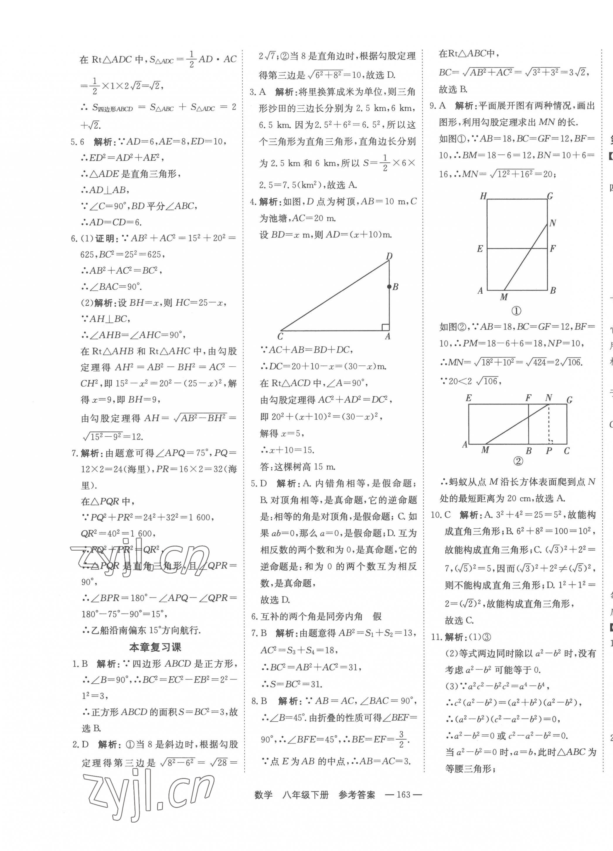 2023年自能导学八年级数学下册人教版 第9页