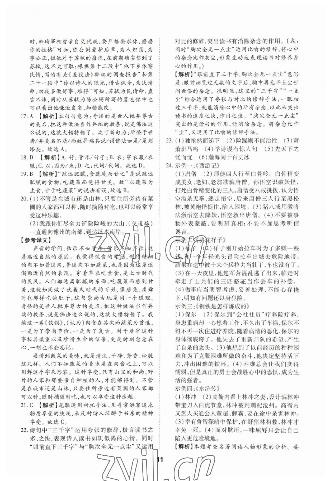 2023年中考方舟試題薈萃及詳解語文四川專版 第11頁