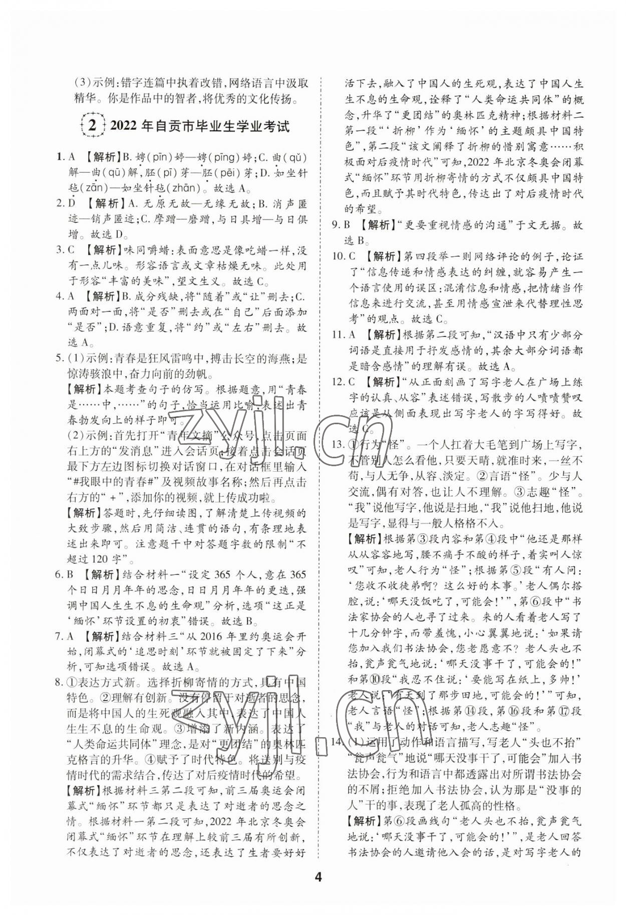 2023年中考方舟試題薈萃及詳解語文四川專版 第4頁