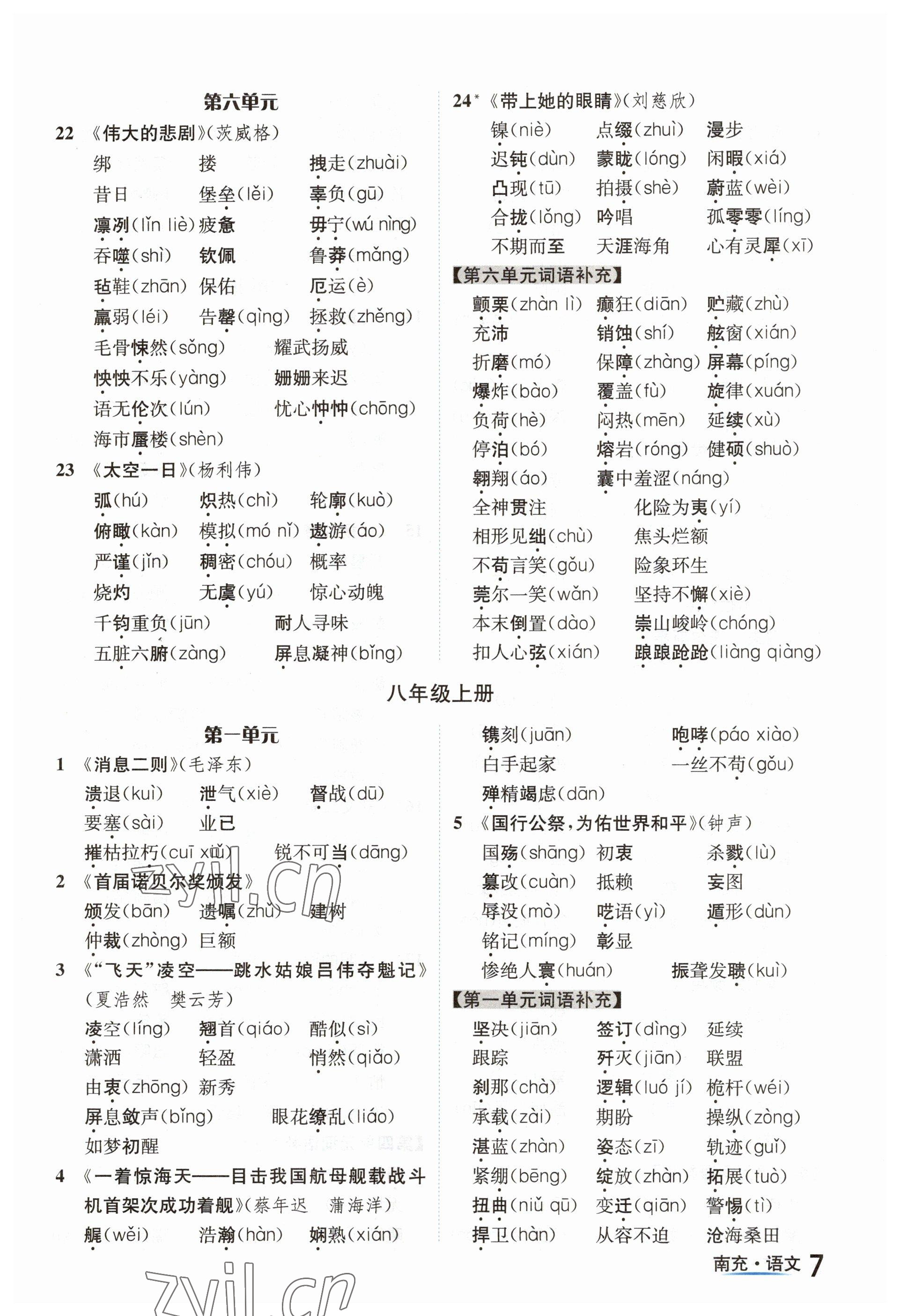 2023年國華圖書中考拐點(diǎn)語文南充專版 參考答案第7頁