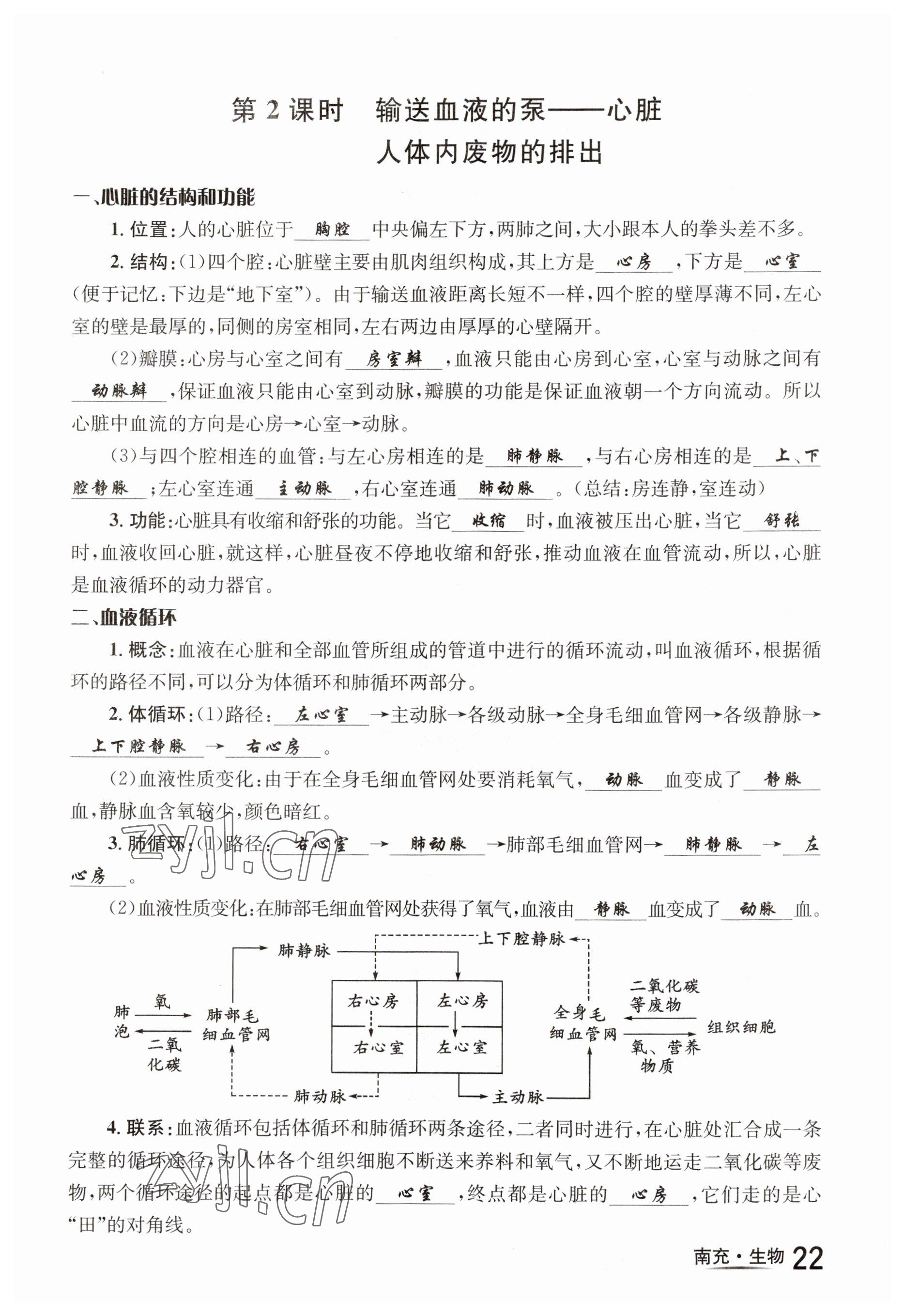 2023年国华图书中考拐点生物南充专版 参考答案第22页