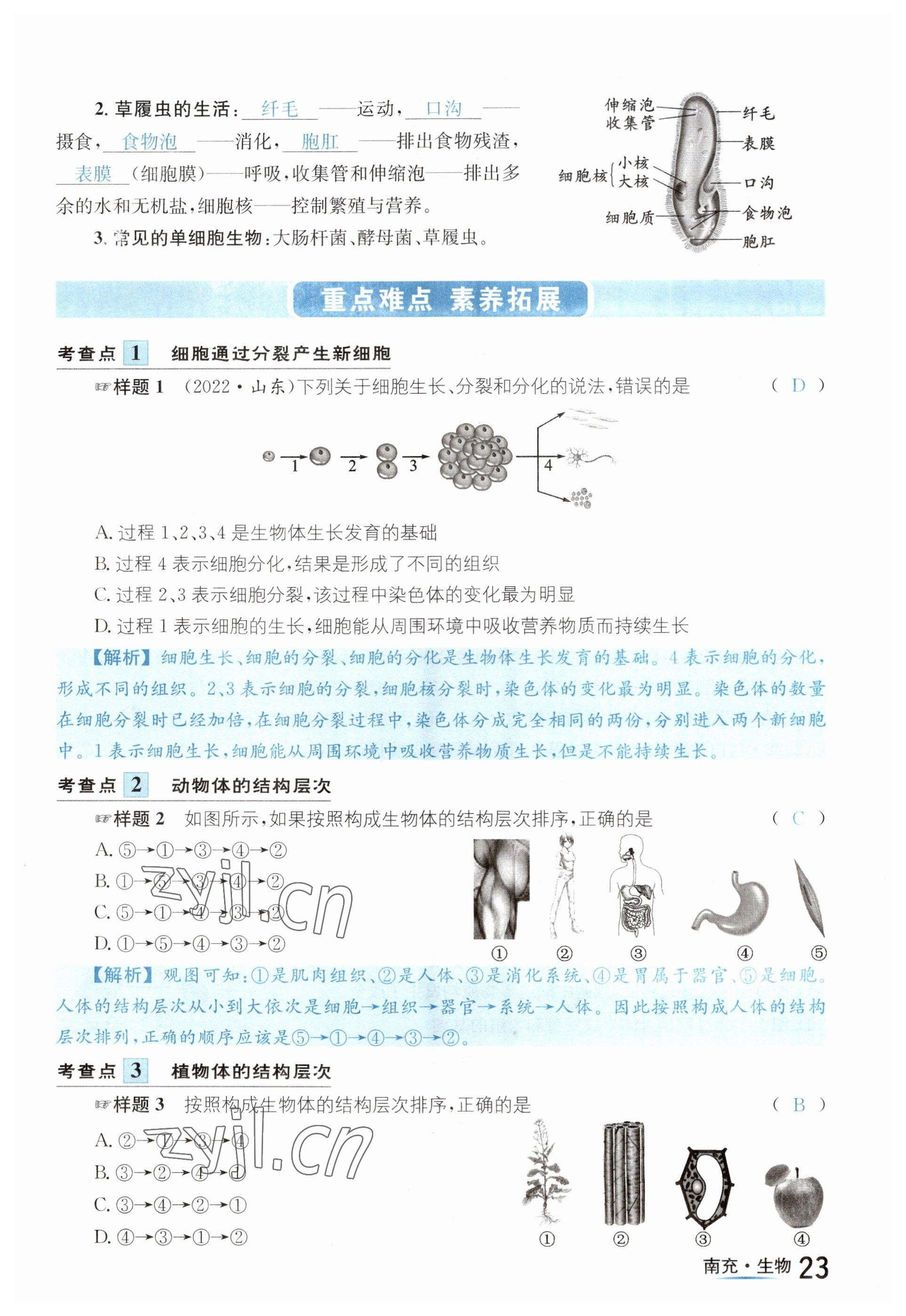 2023年国华图书中考拐点生物南充专版 参考答案第23页