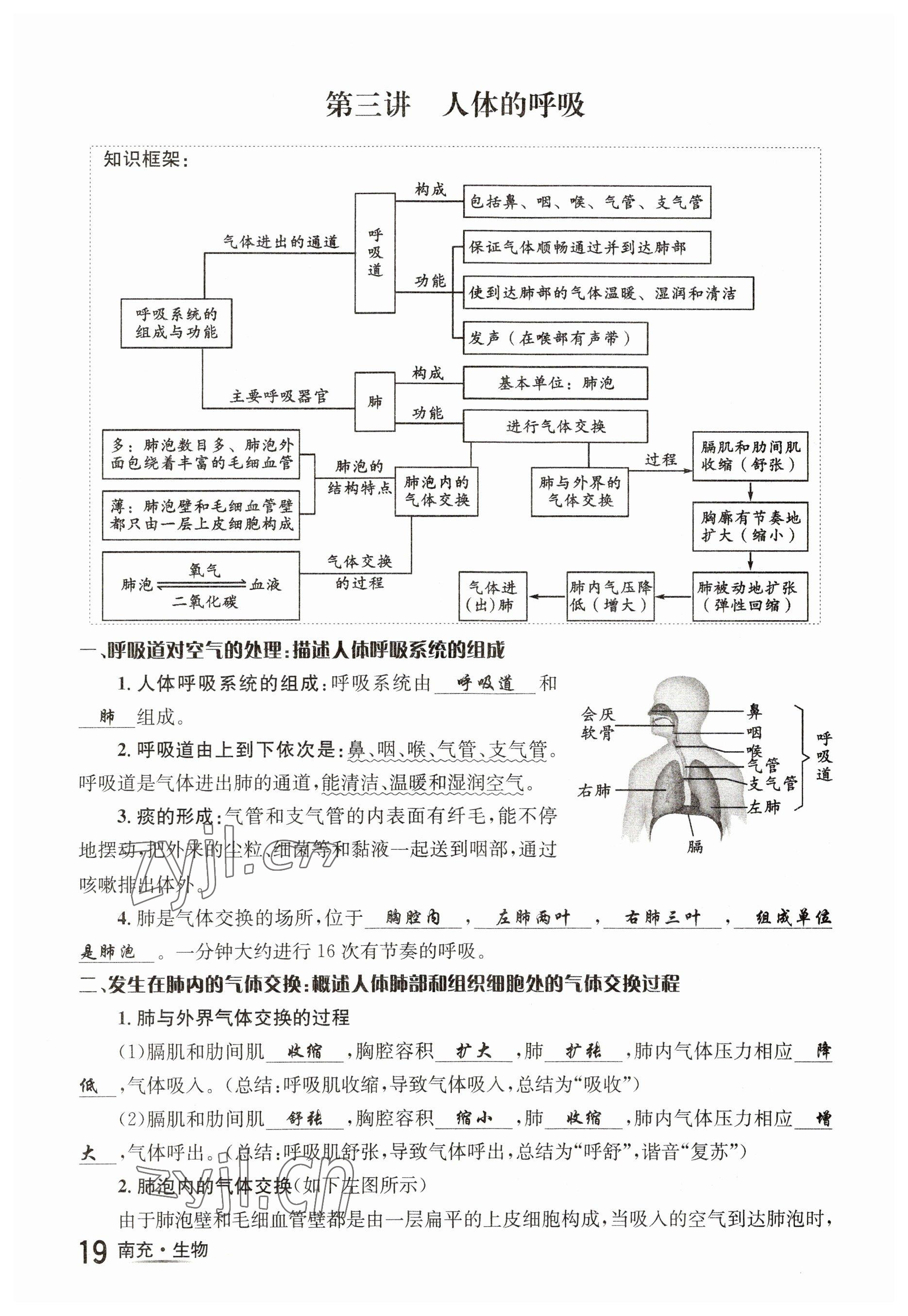 2023年国华图书中考拐点生物南充专版 参考答案第19页