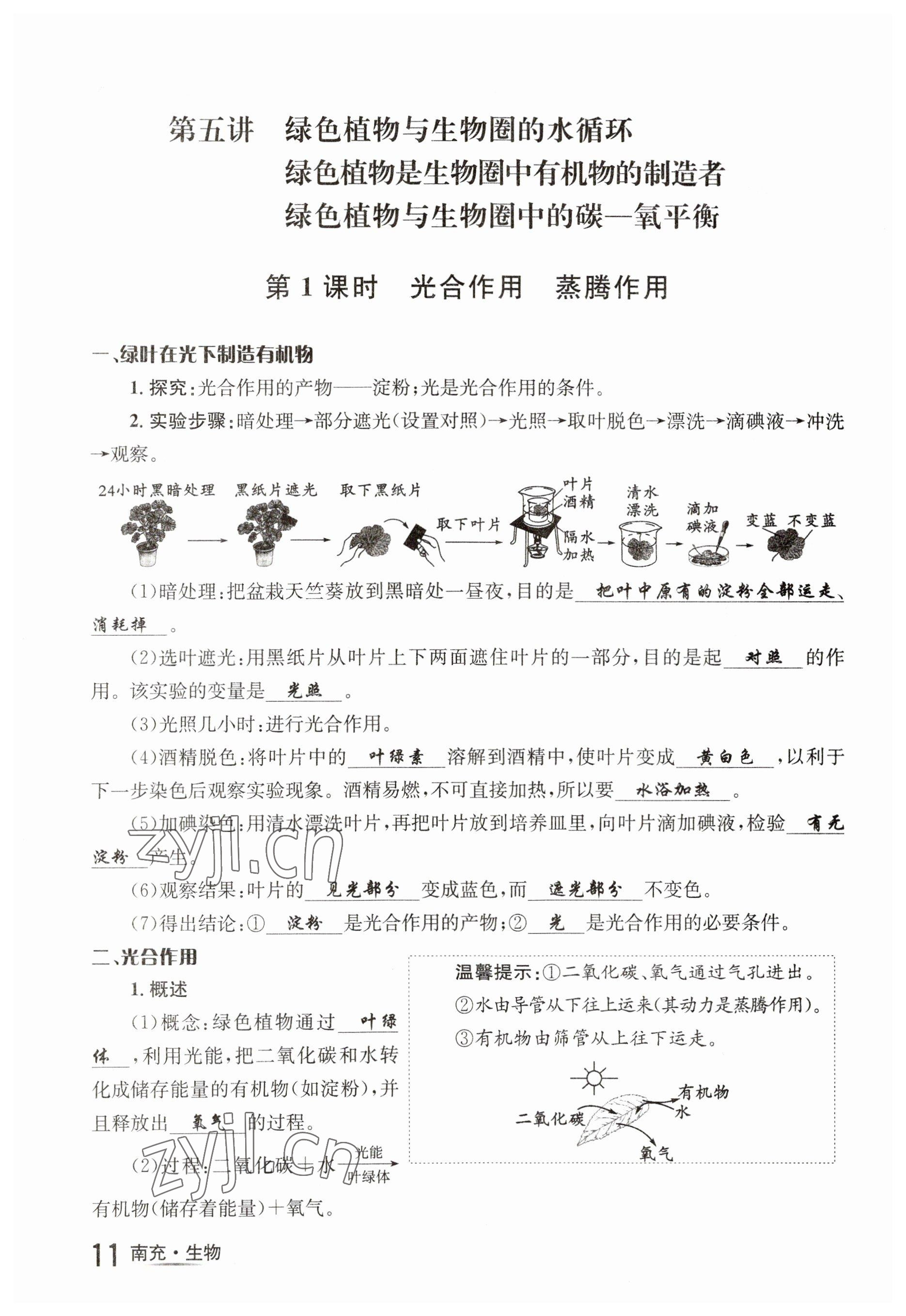 2023年国华图书中考拐点生物南充专版 参考答案第11页