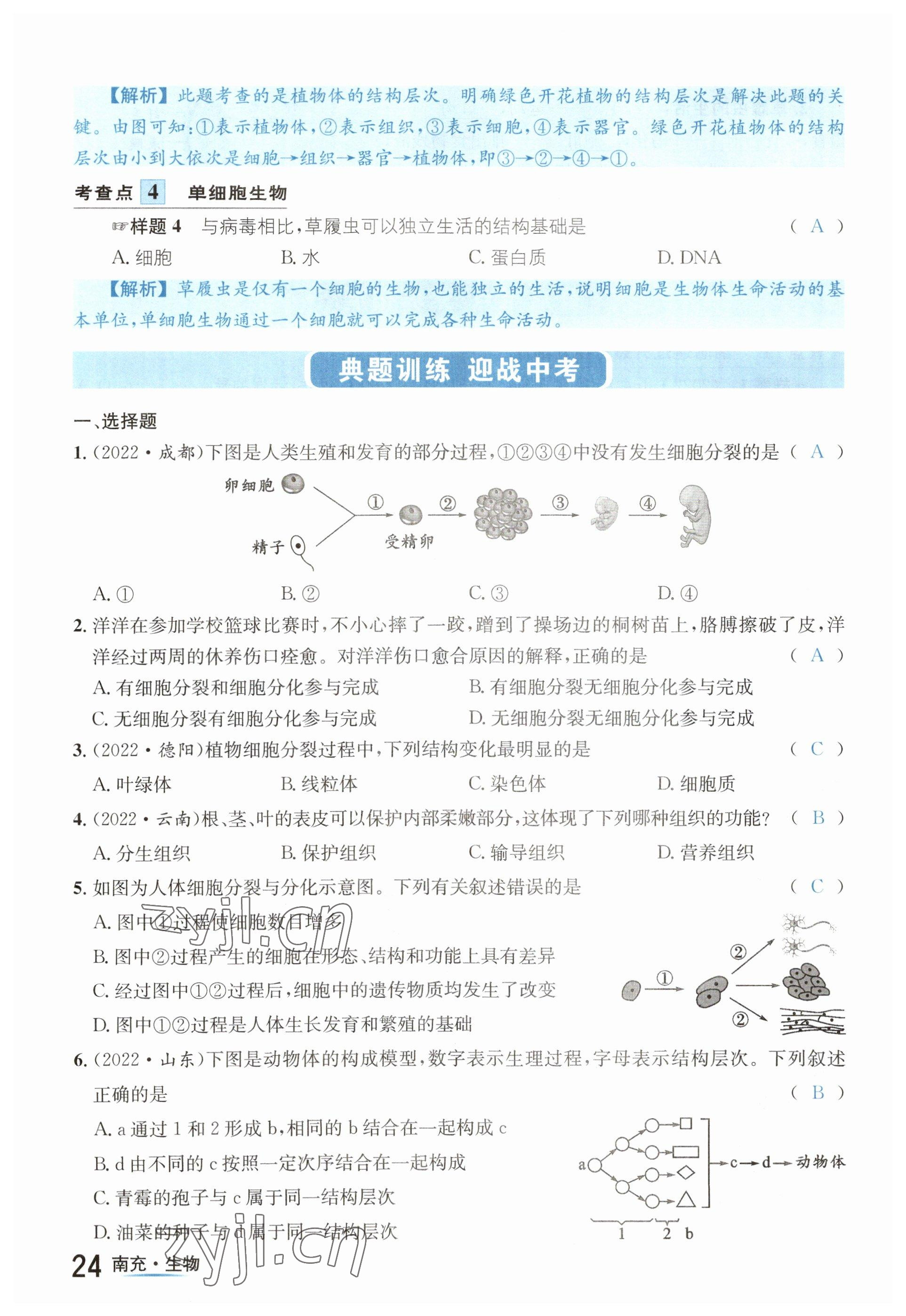 2023年国华图书中考拐点生物南充专版 参考答案第24页