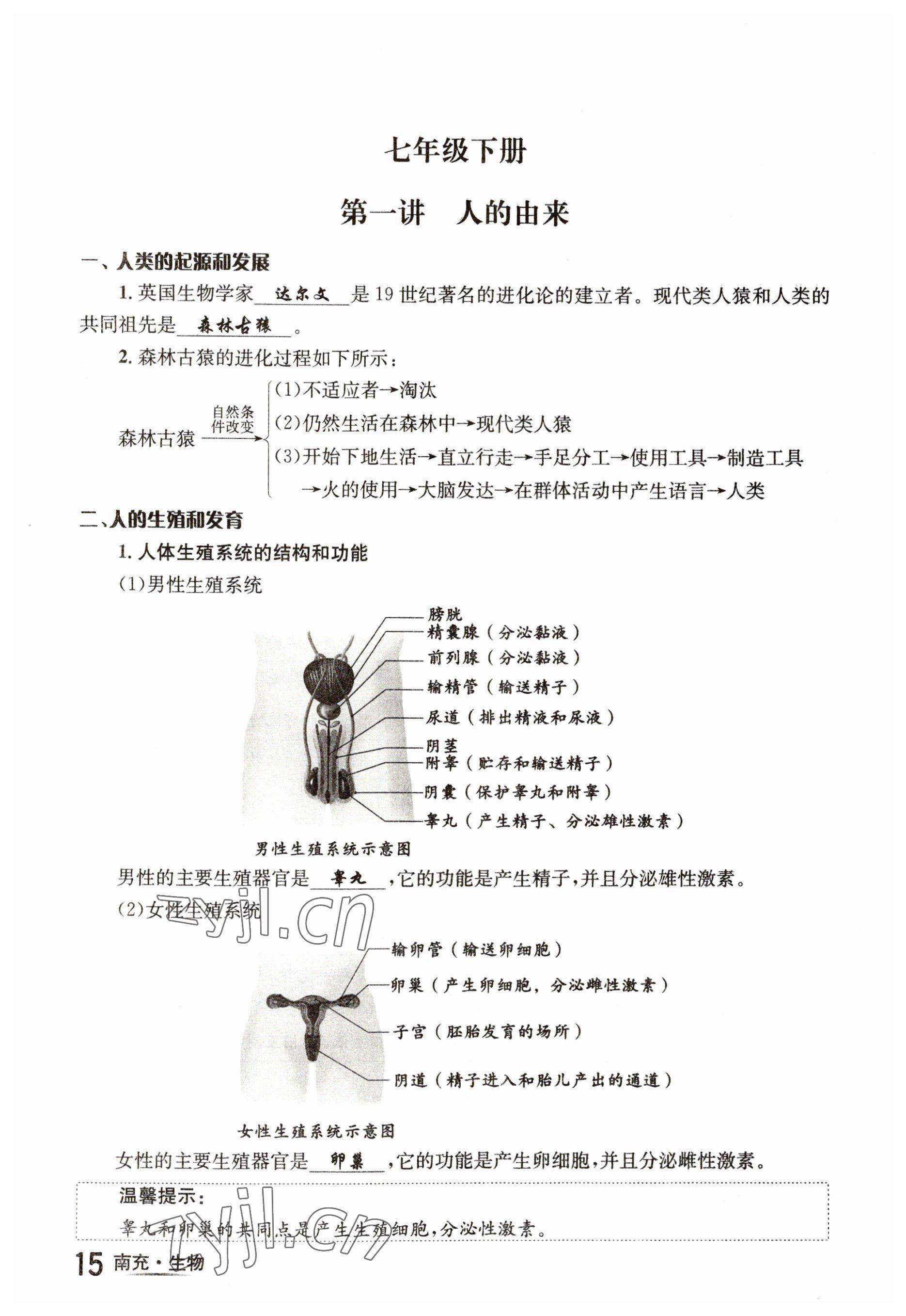 2023年国华图书中考拐点生物南充专版 参考答案第15页