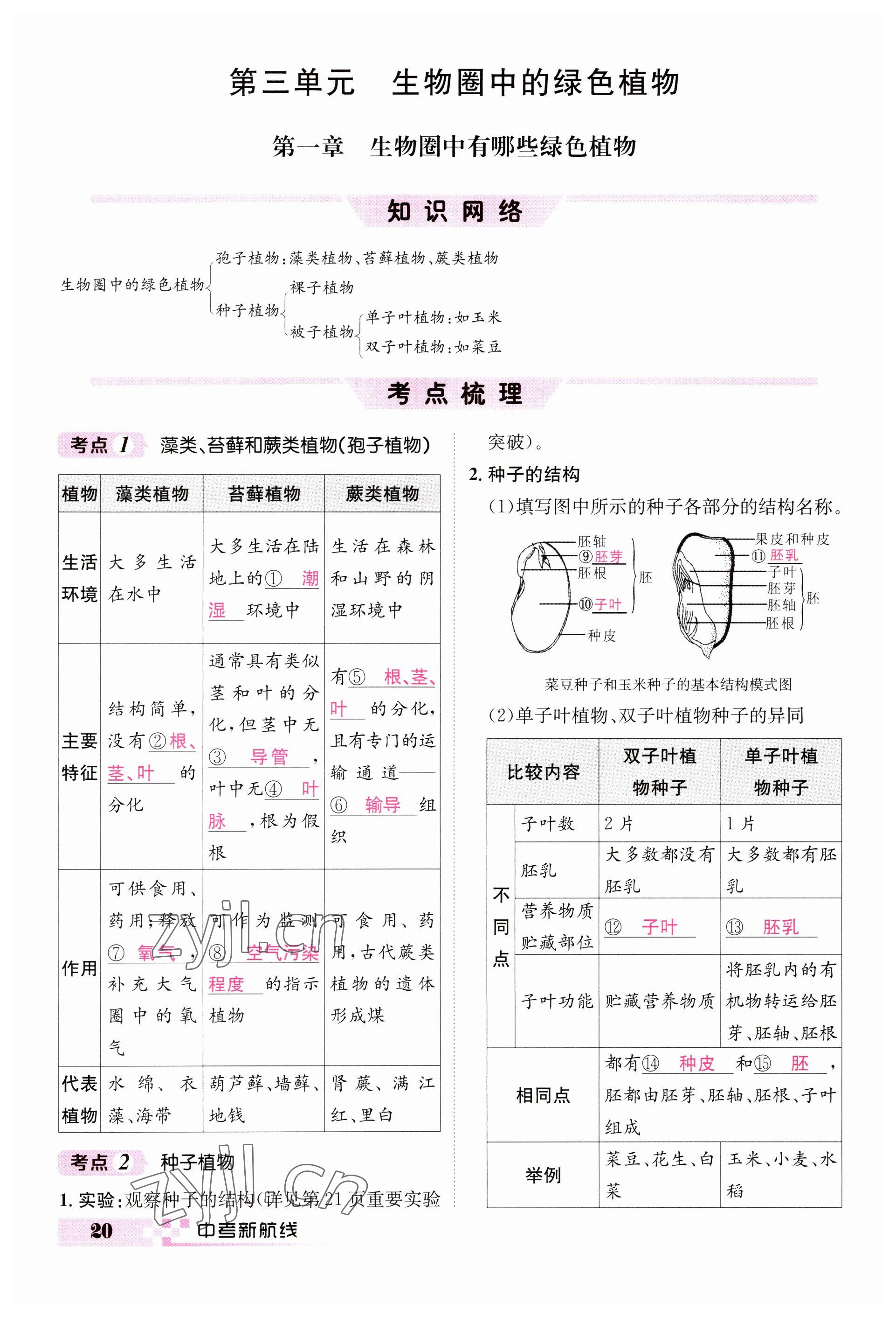 2023年中考新航線生物人教版 參考答案第20頁(yè)