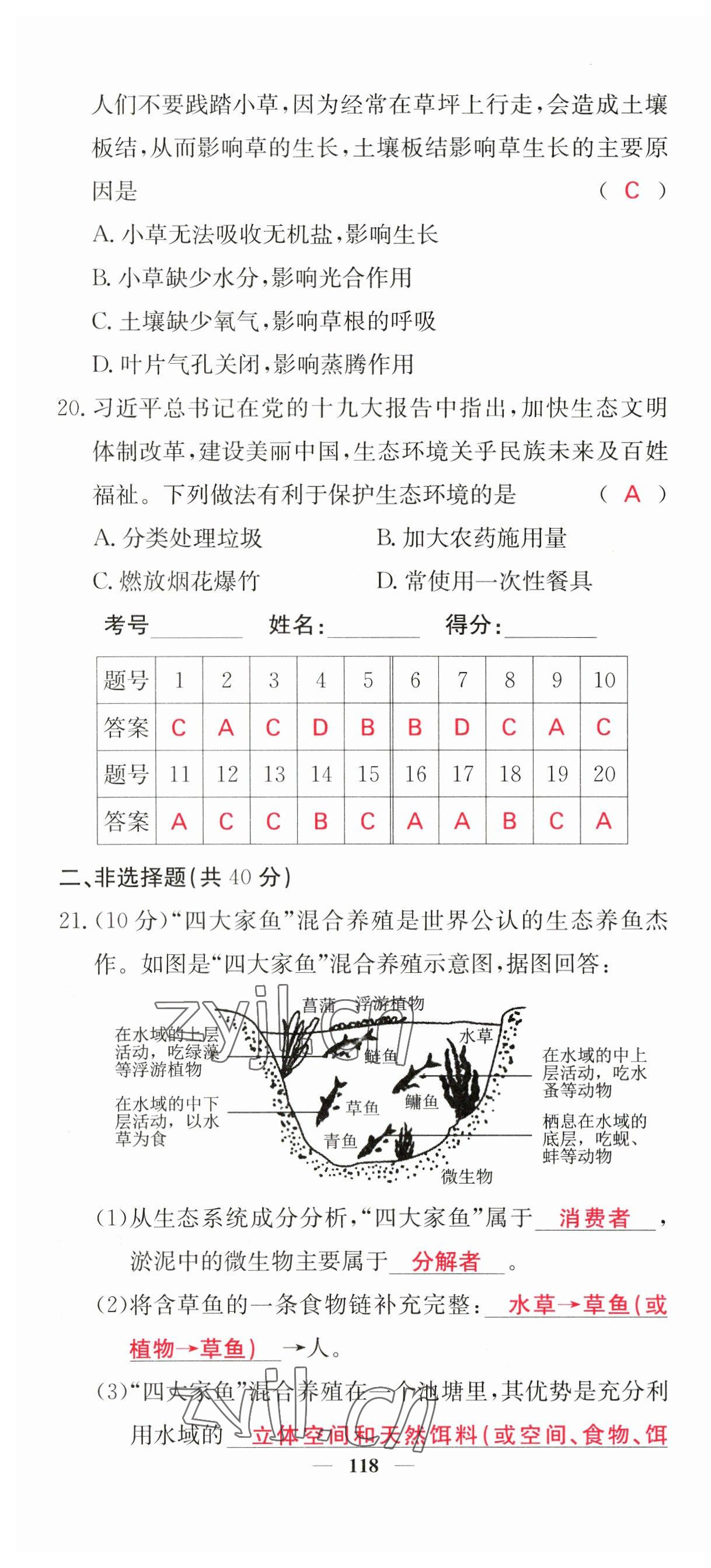 2023年中考新航線生物人教版 第4頁