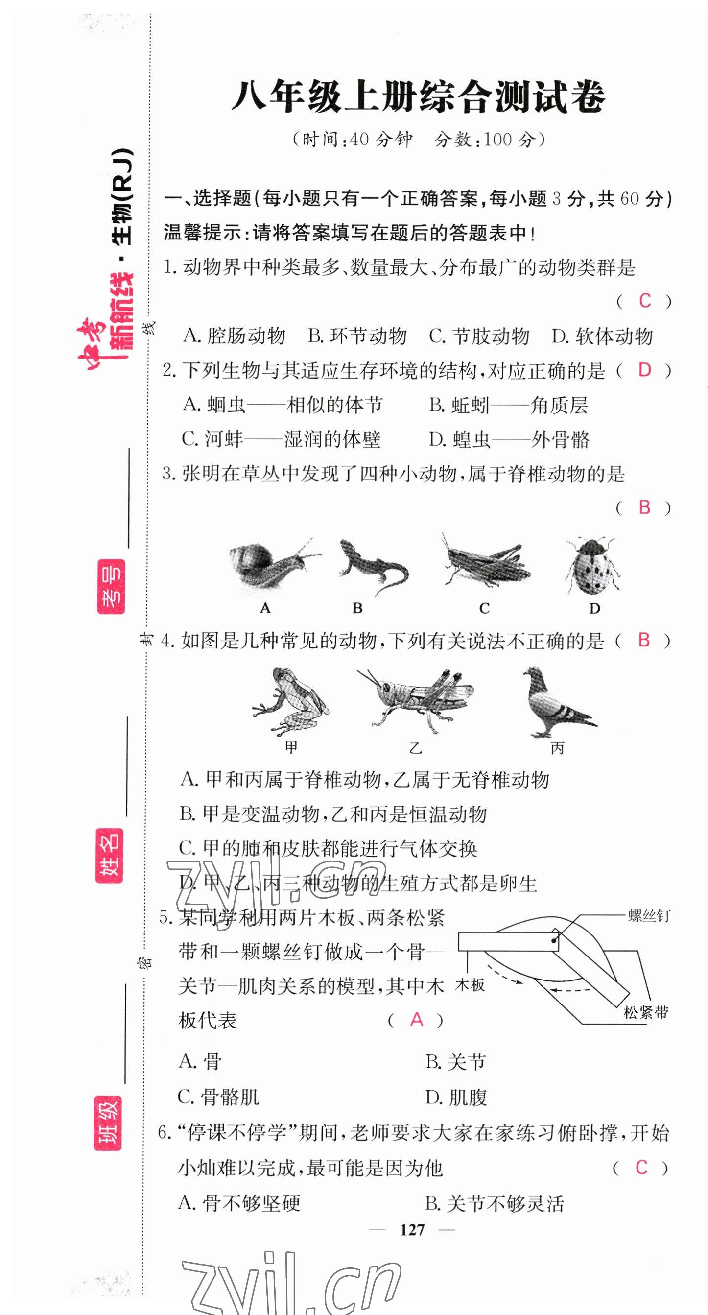 2023年中考新航線生物人教版 第13頁