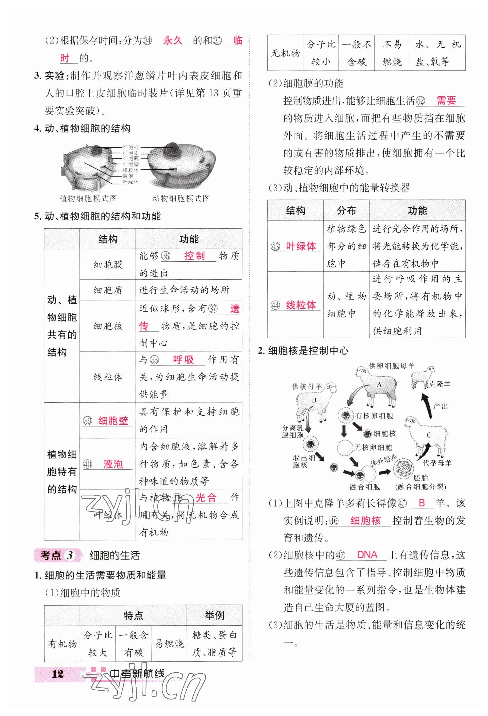 2023年中考新航線(xiàn)生物人教版 參考答案第12頁(yè)