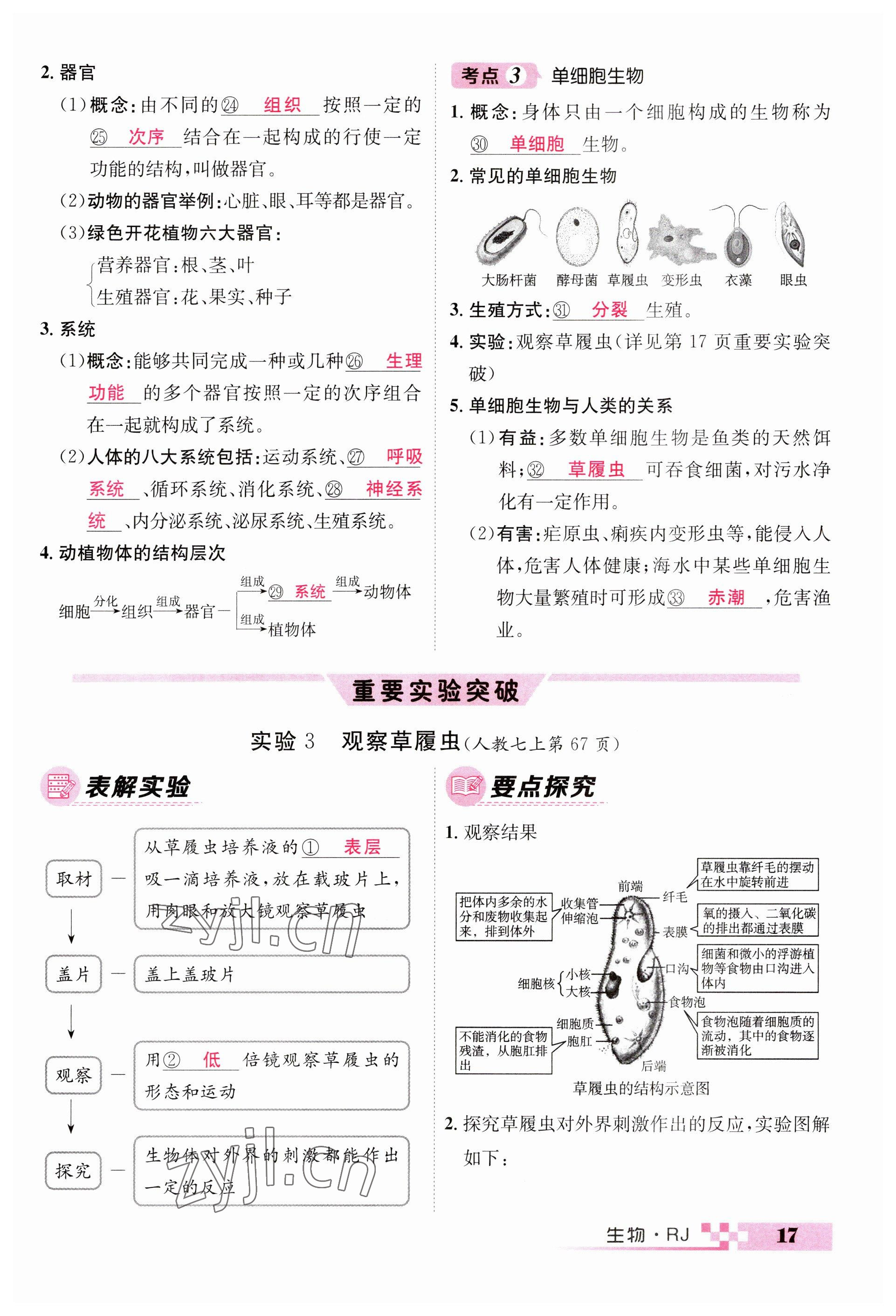 2023年中考新航線生物人教版 參考答案第17頁