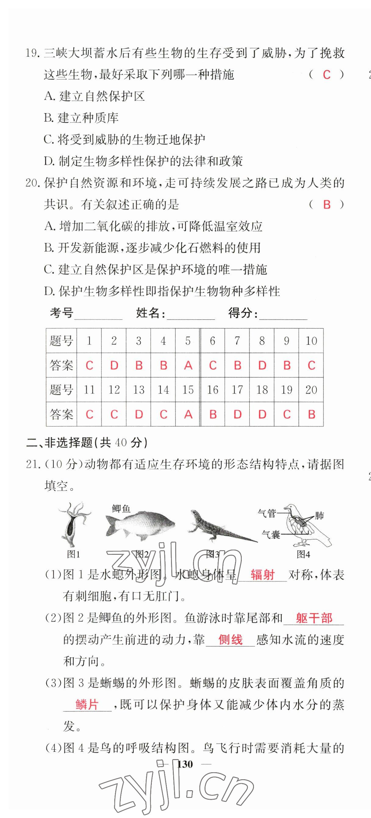 2023年中考新航線生物人教版 第16頁