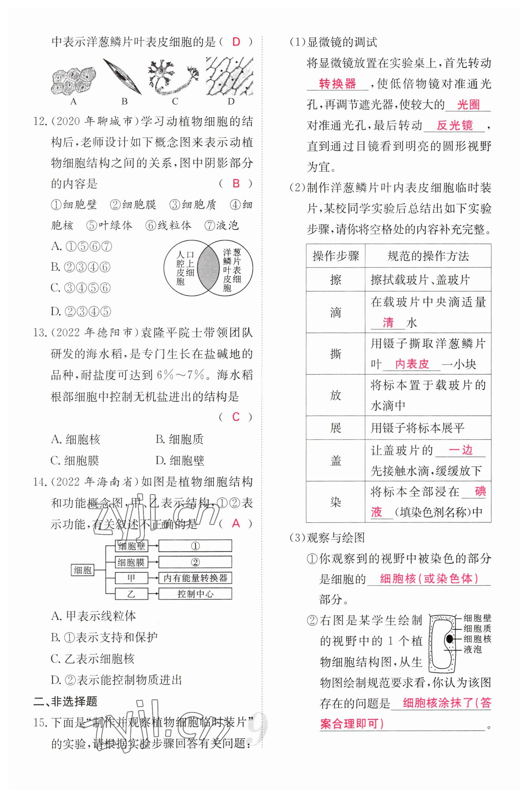 2023年中考新航線生物人教版 參考答案第9頁