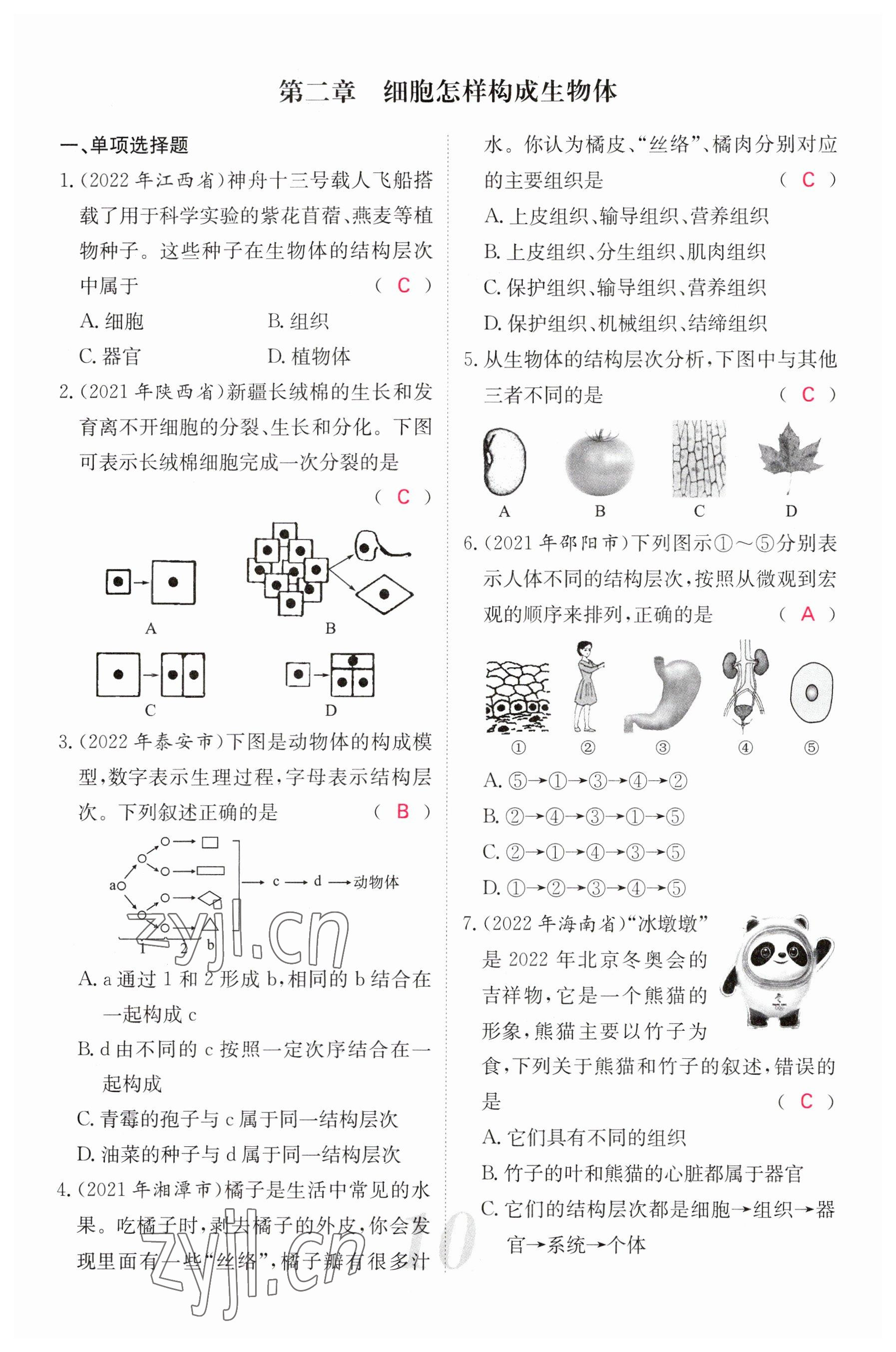 2023年中考新航線生物人教版 參考答案第10頁