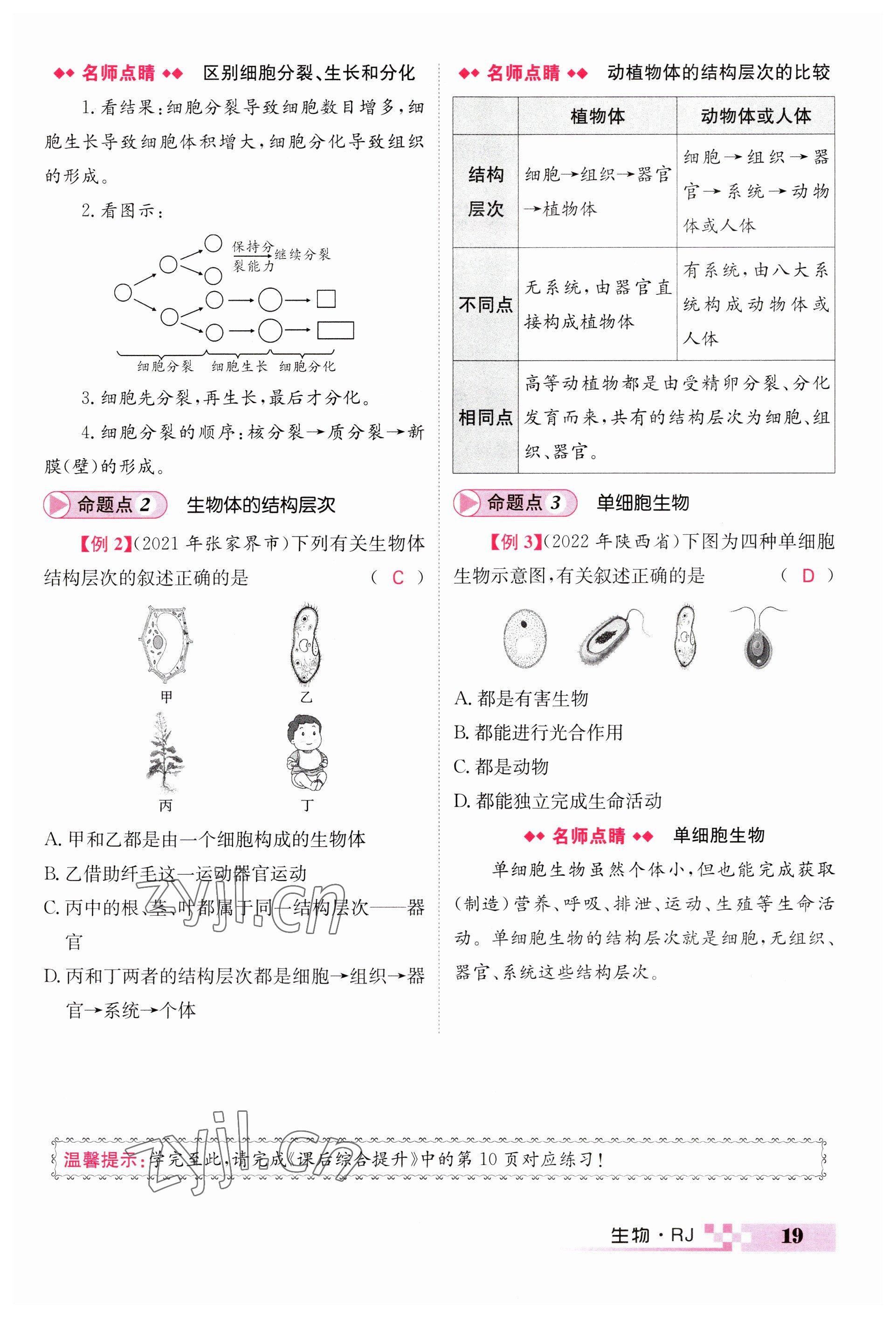 2023年中考新航線生物人教版 參考答案第19頁