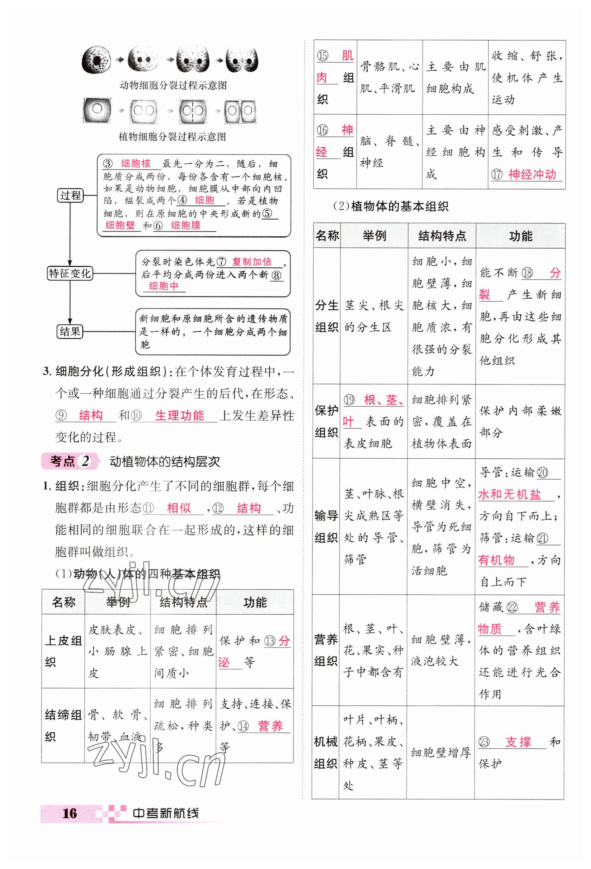 2023年中考新航線生物人教版 參考答案第16頁(yè)