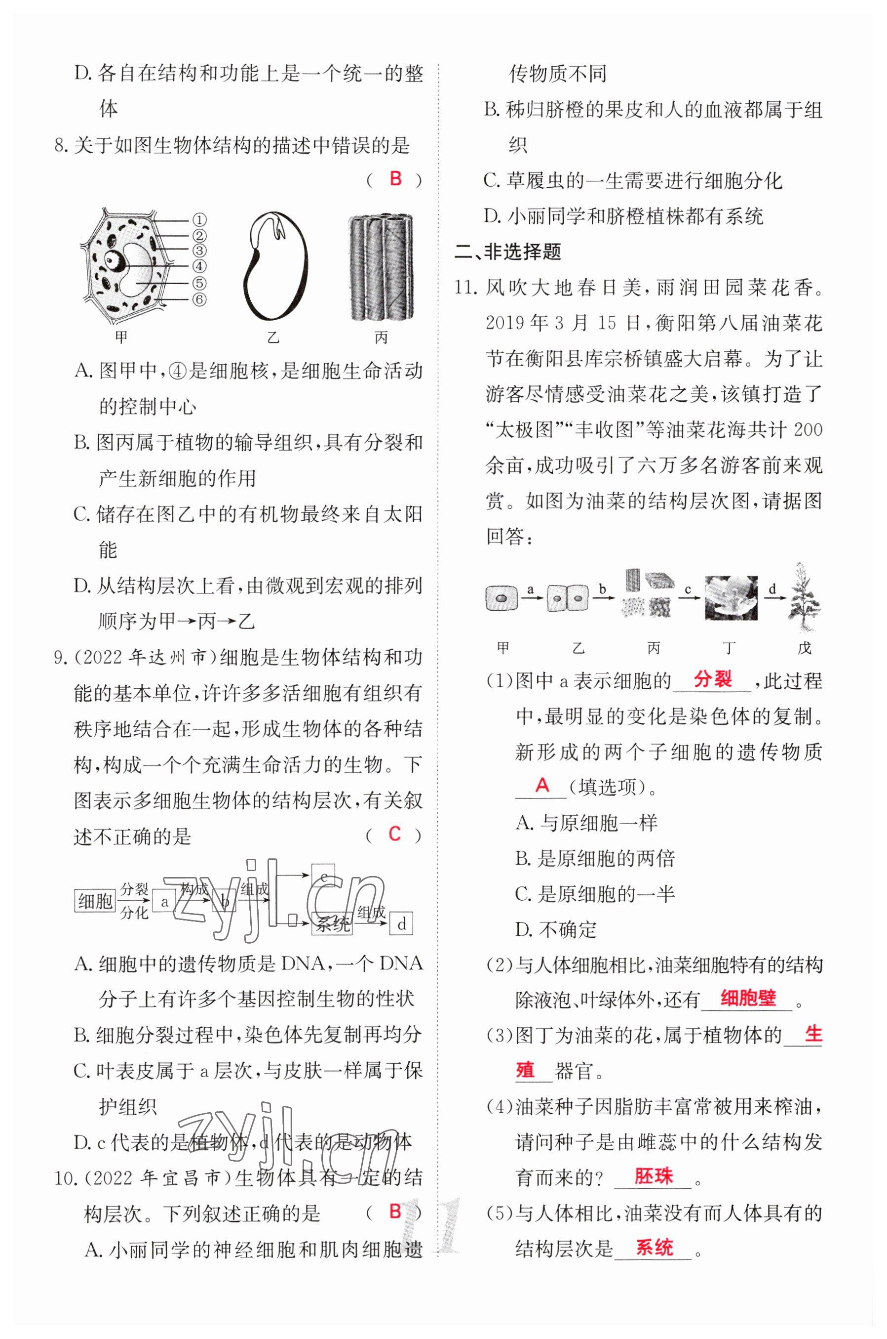 2023年中考新航線生物人教版 參考答案第11頁