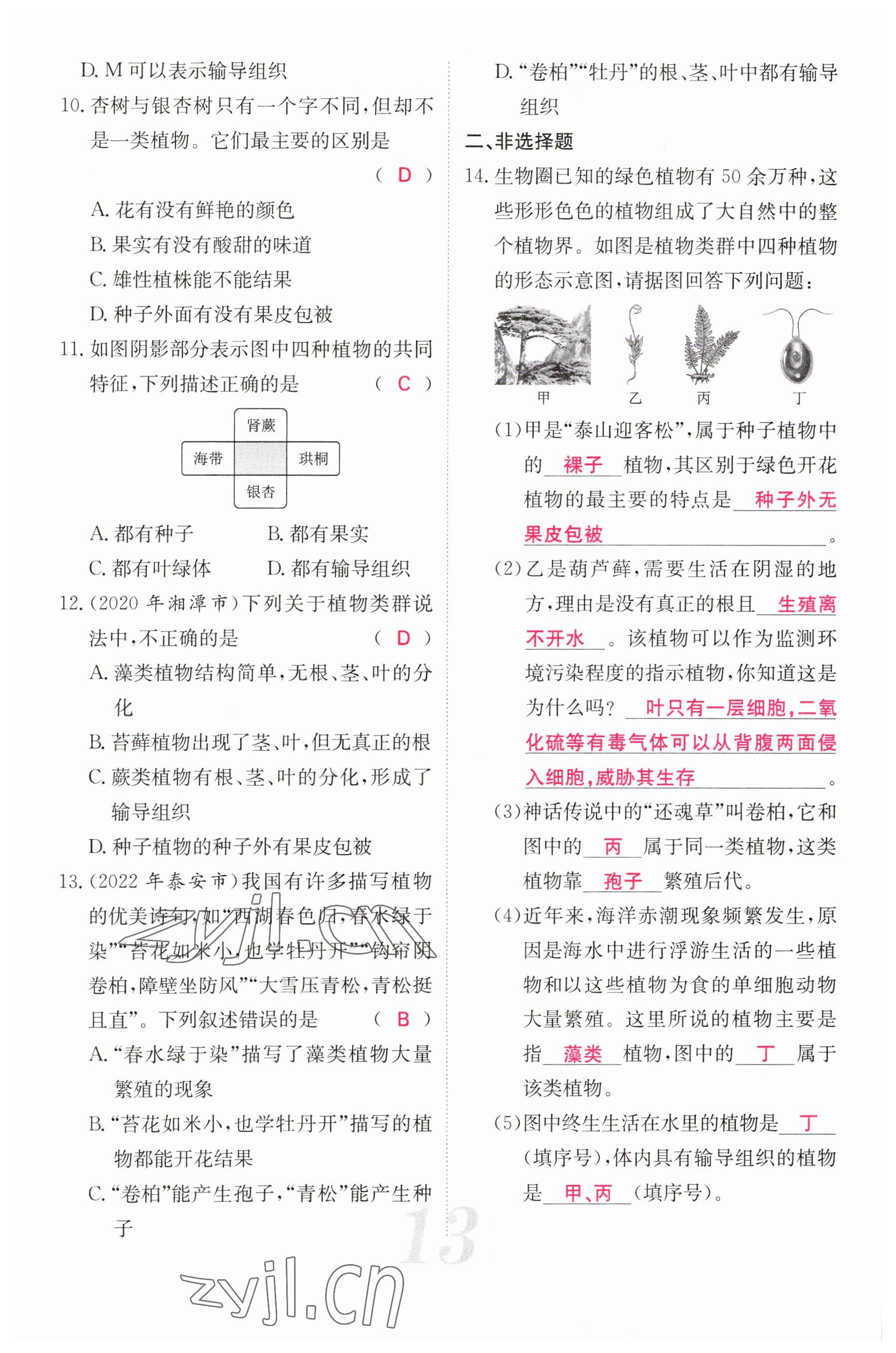 2023年中考新航线生物人教版 参考答案第13页