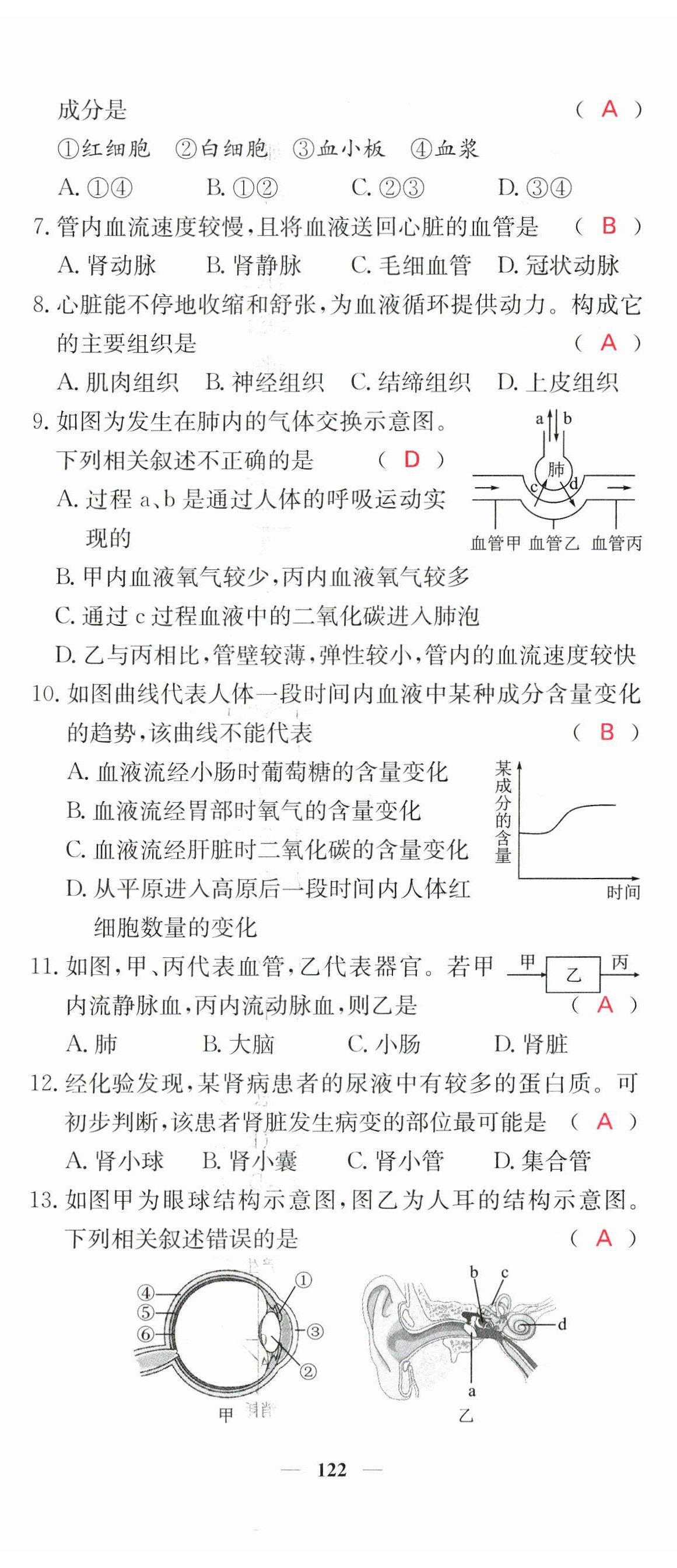 2023年中考新航线生物人教版 第8页