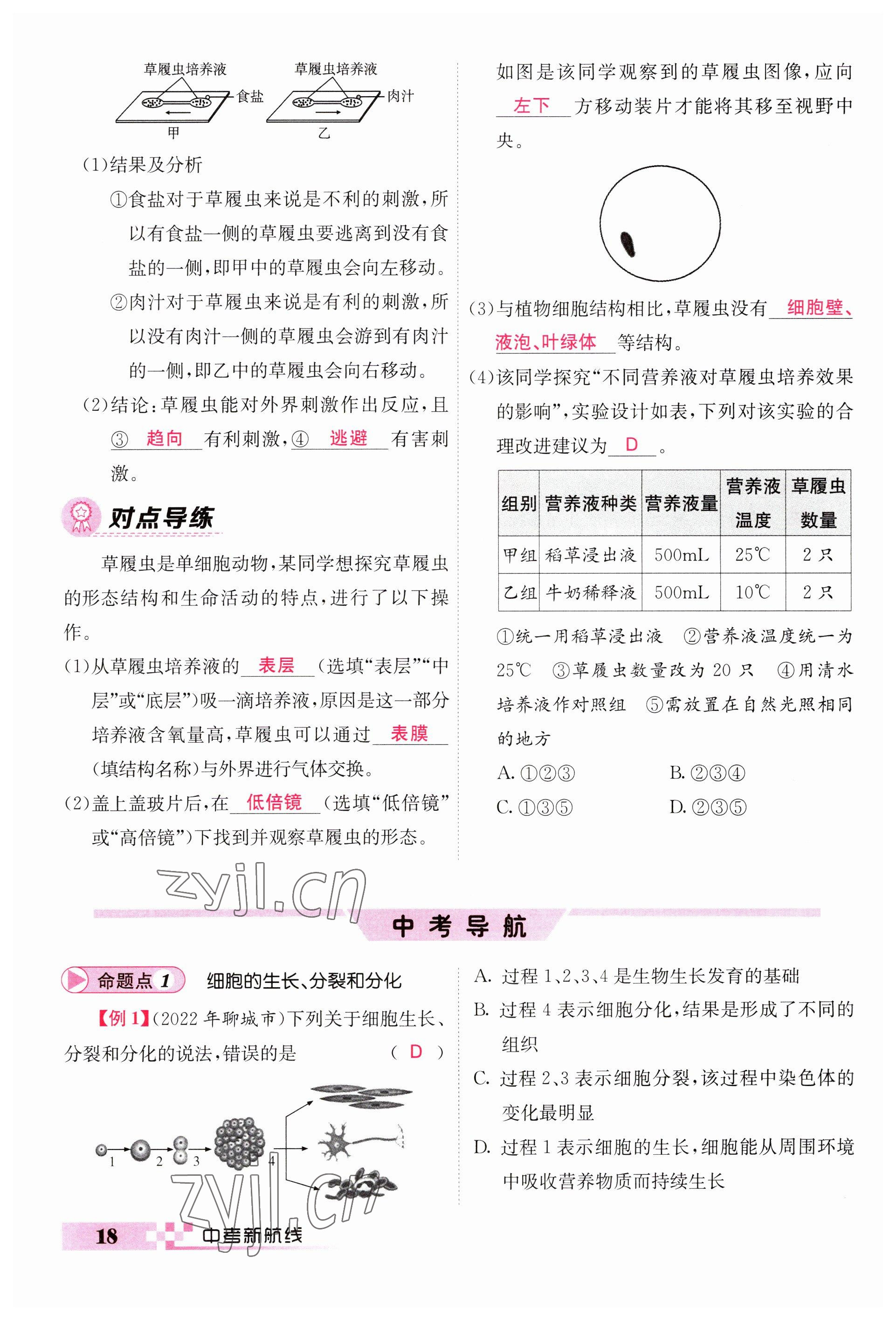 2023年中考新航線生物人教版 參考答案第18頁