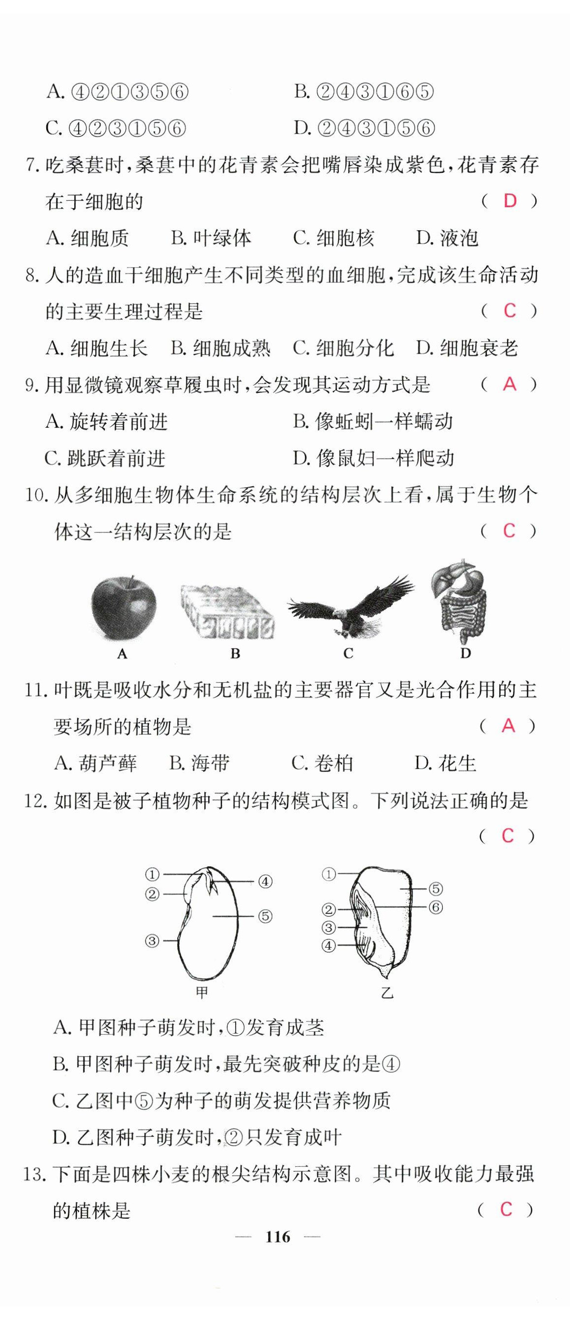 2023年中考新航線生物人教版 第2頁