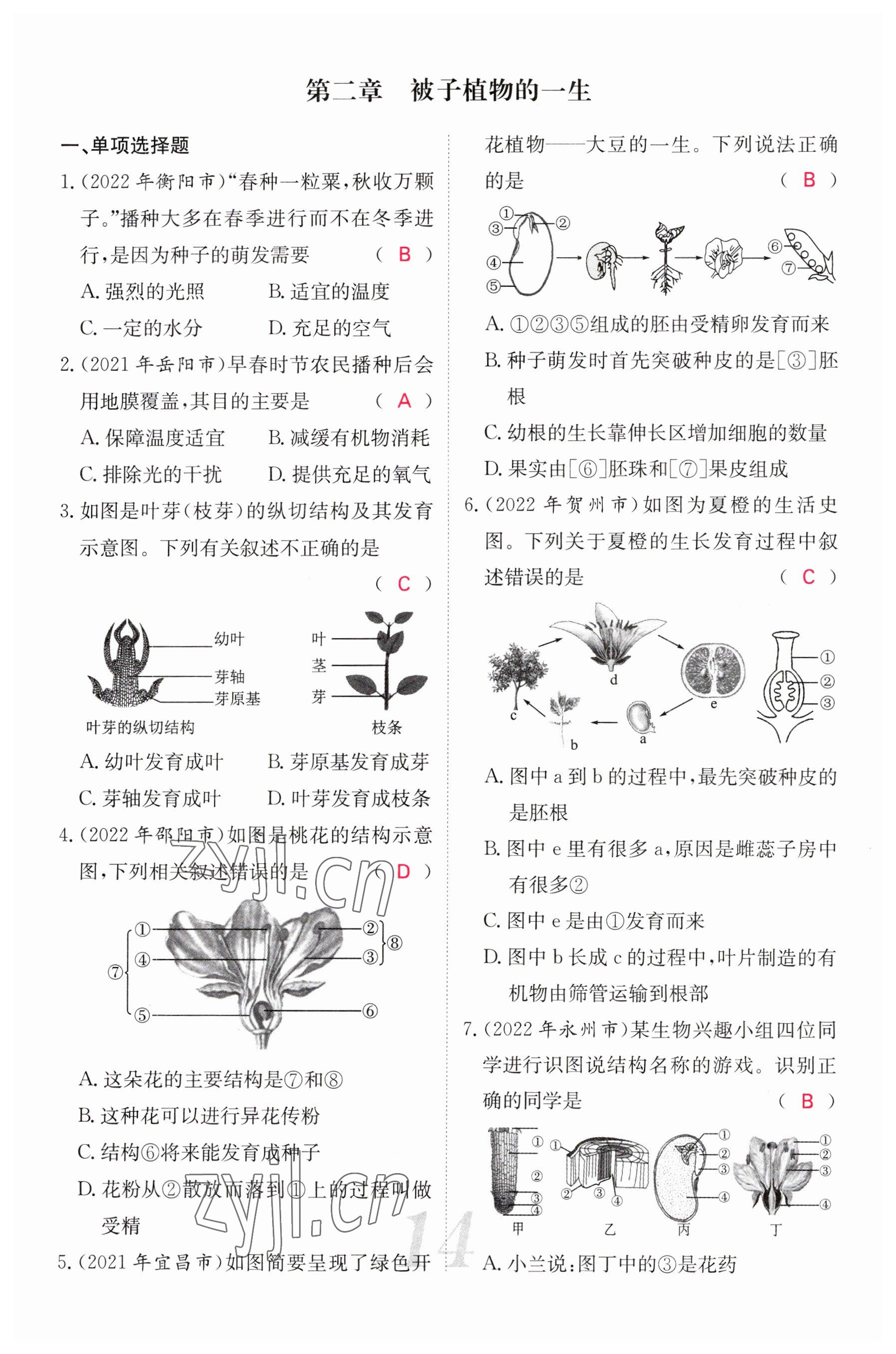 2023年中考新航線生物人教版 參考答案第14頁