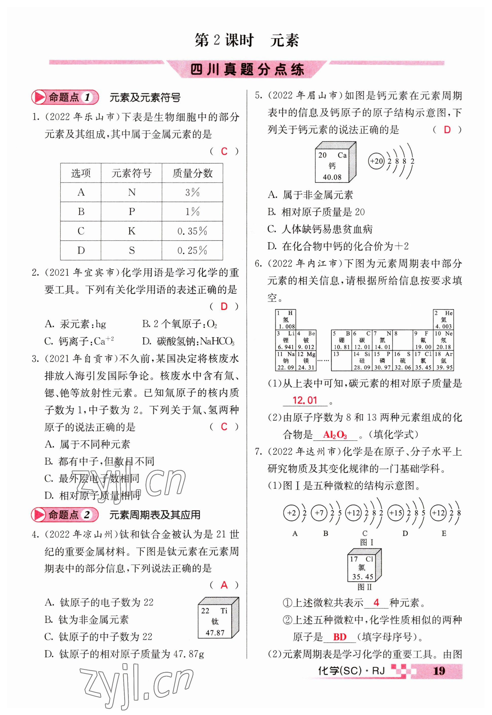 2023年中考新航線九年級化學(xué)四川專版 參考答案第19頁