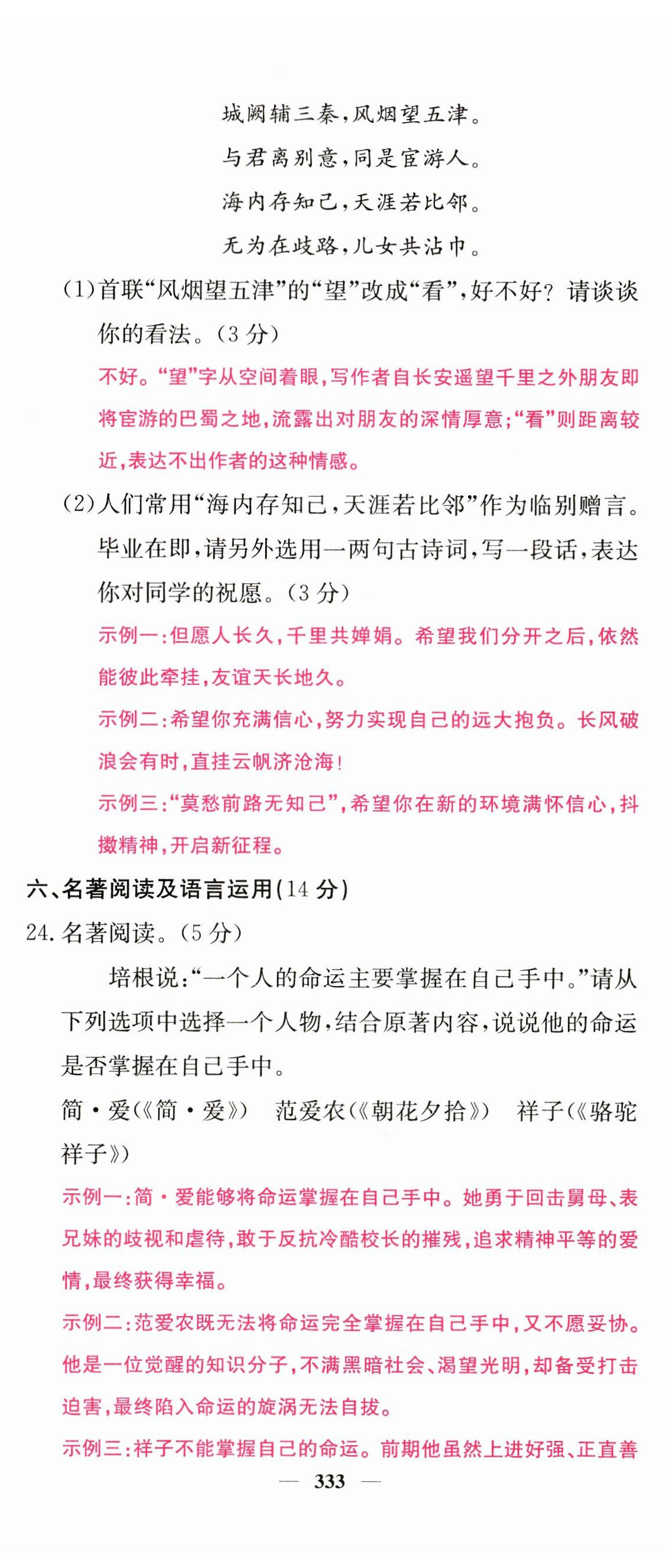 2023年中考新航線語(yǔ)文四川專(zhuān)版 第11頁(yè)