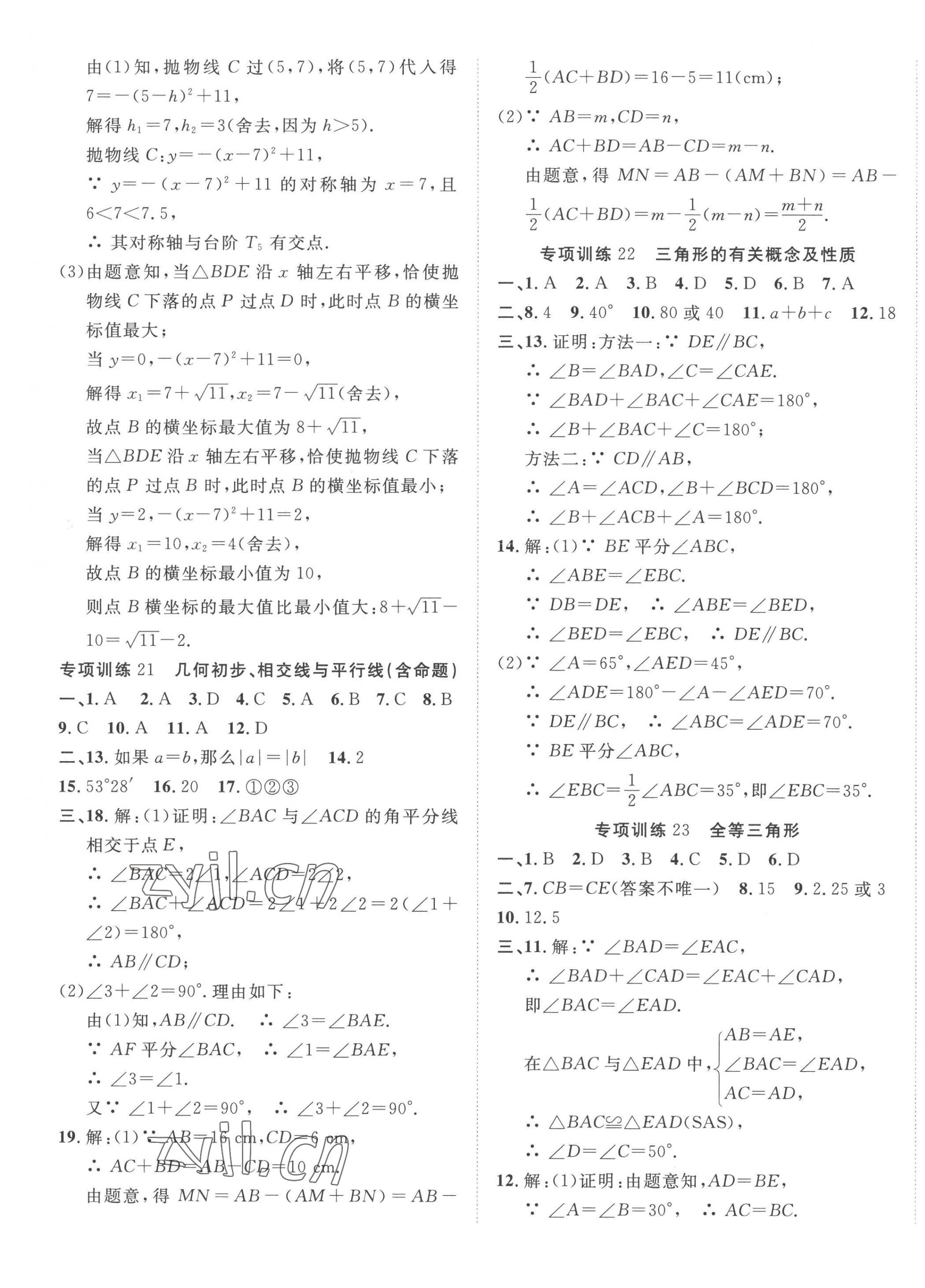 2023年中考考什么專項(xiàng)課時(shí)50練數(shù)學(xué)河北專版 第13頁