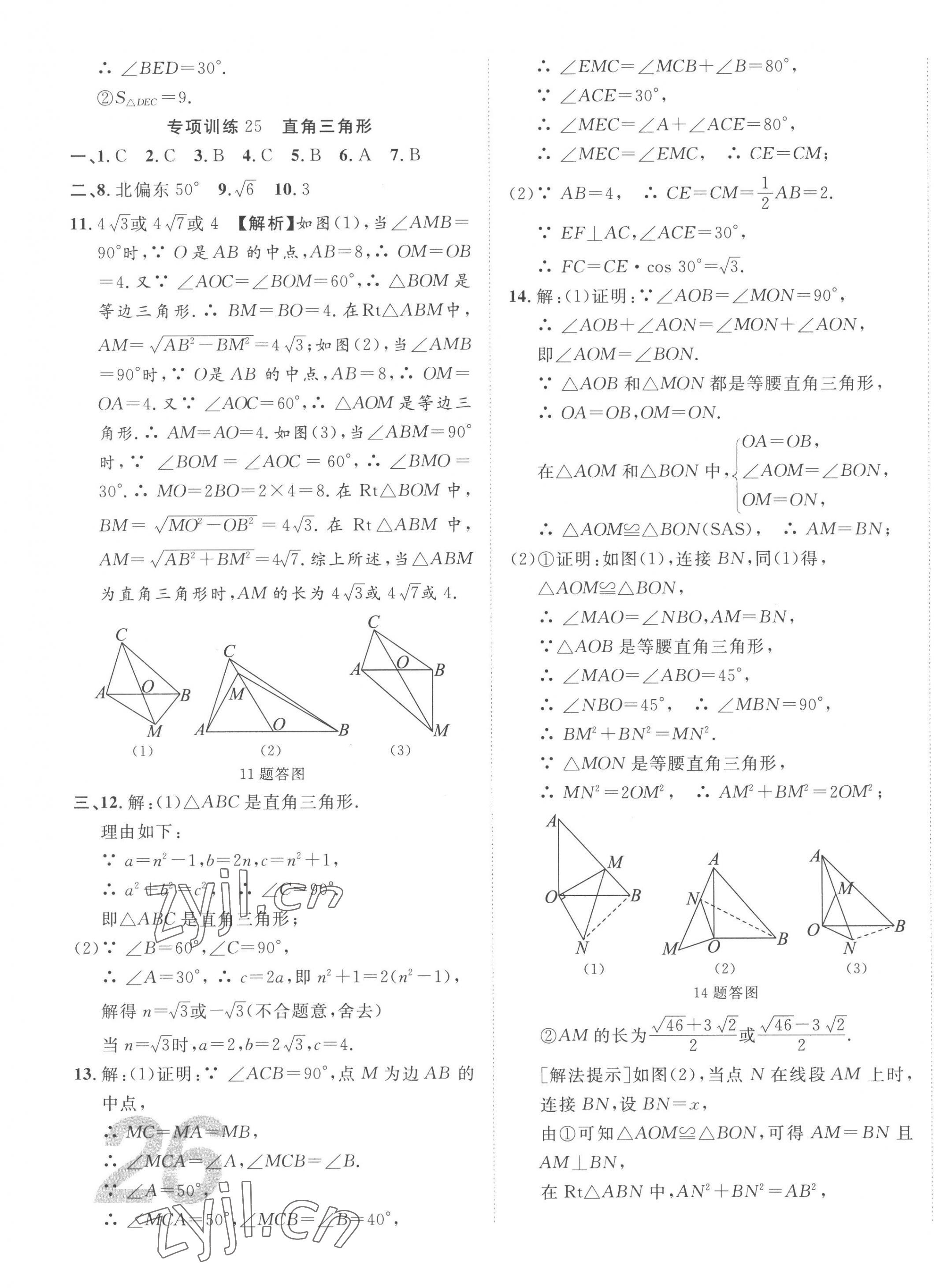 2023年中考考什么專項課時50練數學河北專版 第15頁