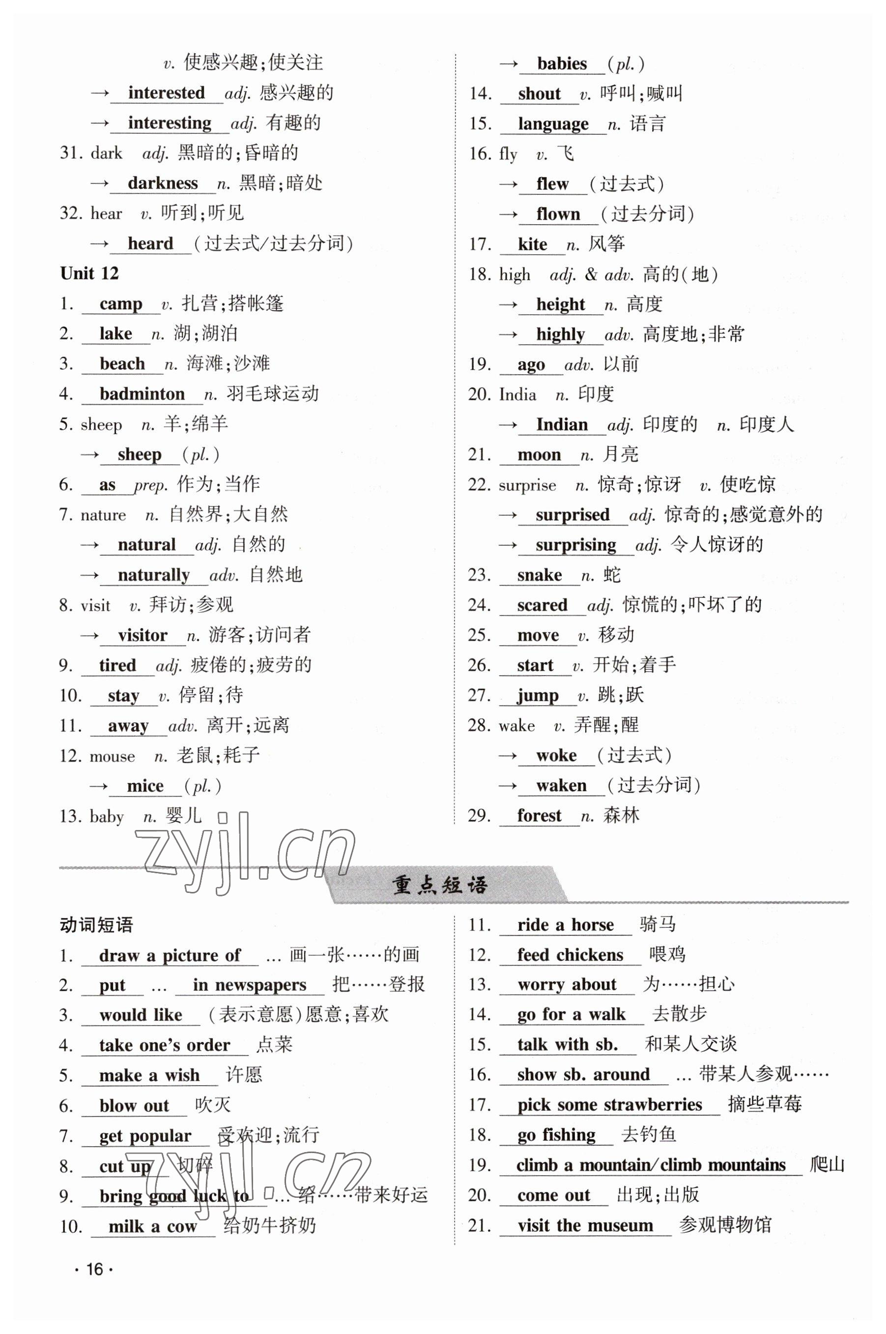 2023年聚焦中考英语四川专版 参考答案第16页